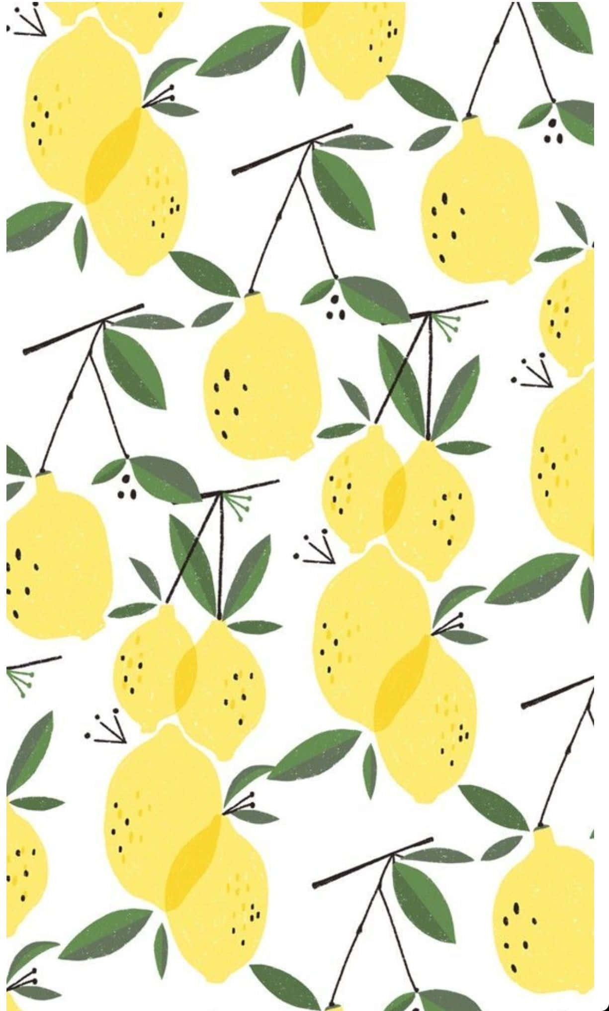 Cute Summer, lemons, green leaves, Full HD Phone Wallpaper