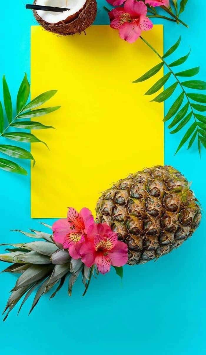 Cute Summer, tropical pineapple, coconut, SD Phone Wallpaper