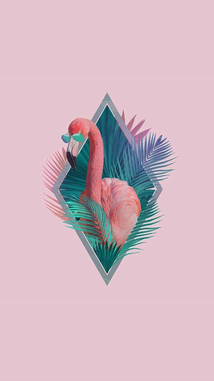 pink flamingo, teal sunglasses, vibrant tropical leaves, HD Phone Wallpaper