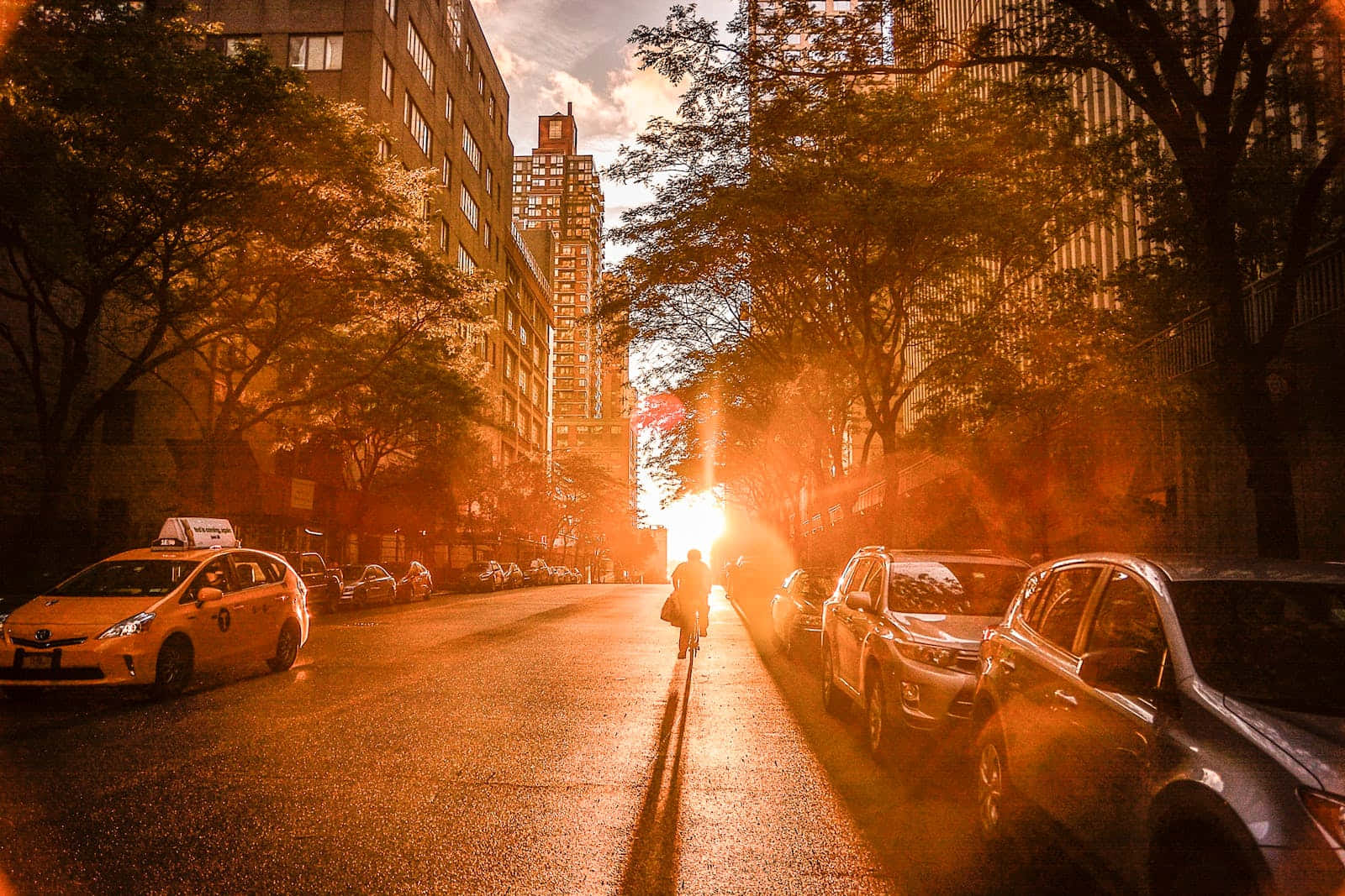 Golden Hour, sun-drenched urban street, towering buildings, HD Desktop Wallpaper