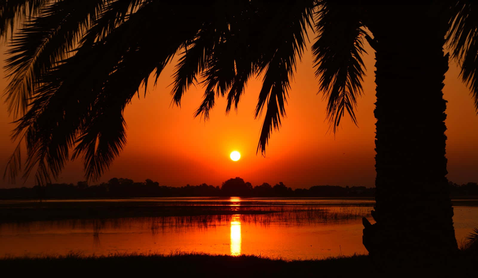 cute sunset, fiery orange sunset, calm beach, HD Desktop Wallpaper