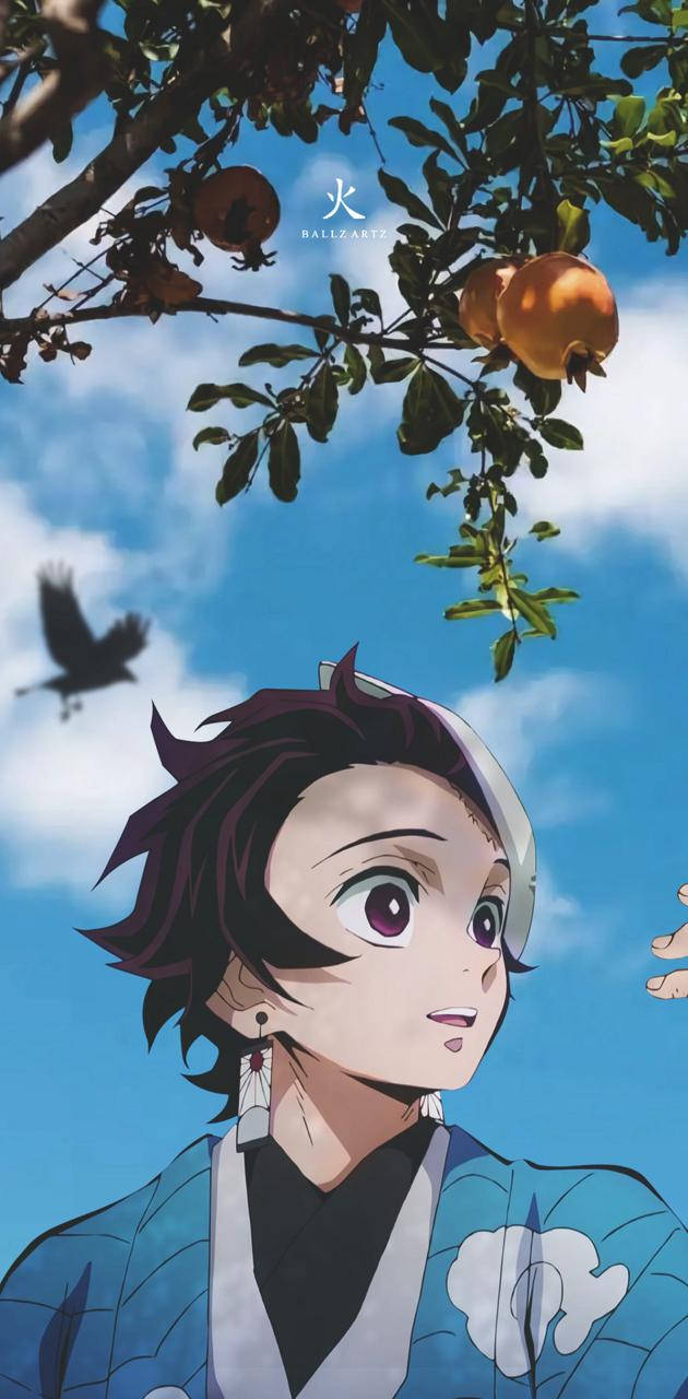Tanjiro, pomegranate tree, bird, HD Phone Wallpaper