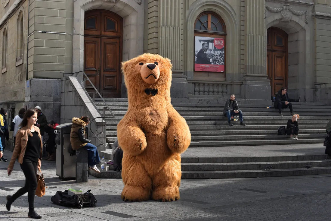 Cute Teddy Bear