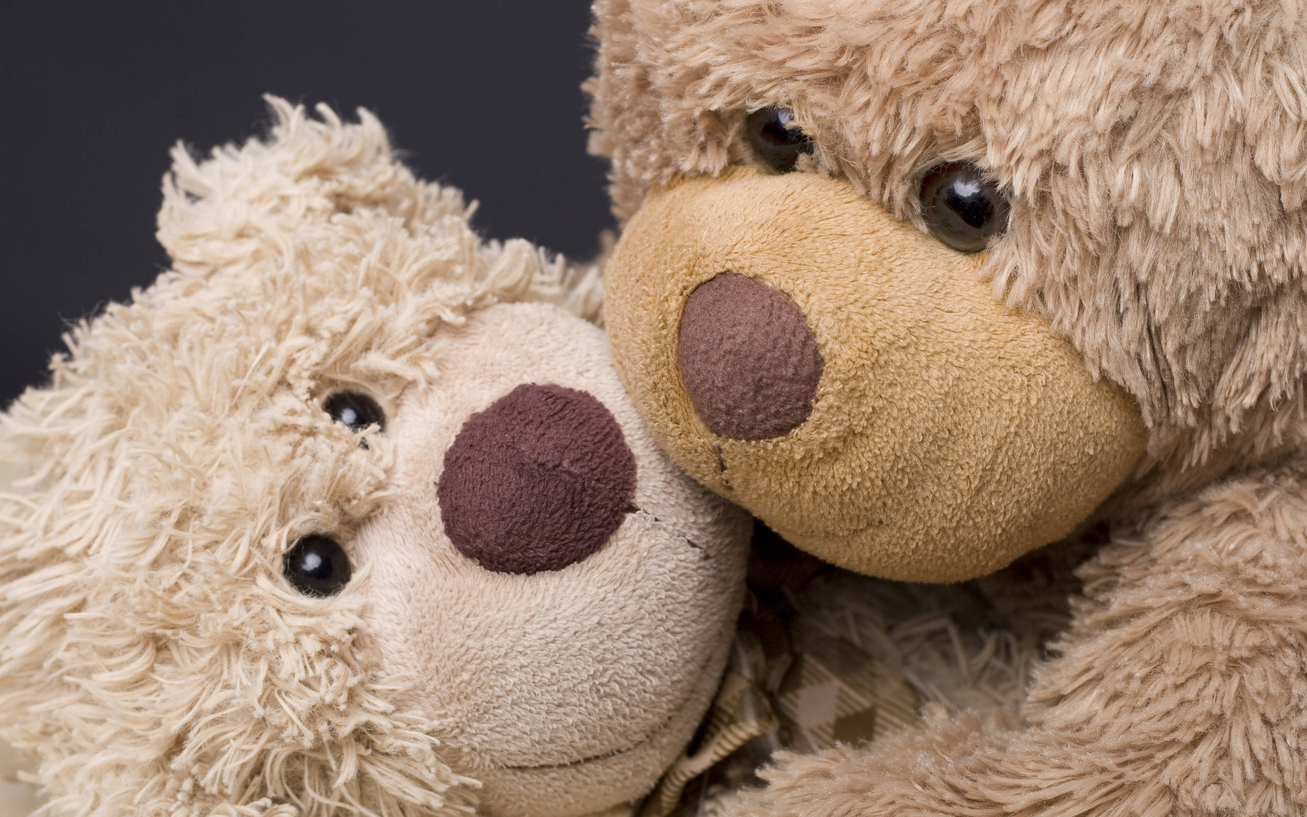 Cute Teddy Bear, fluffy, light beige, 2K Desktop Wallpaper