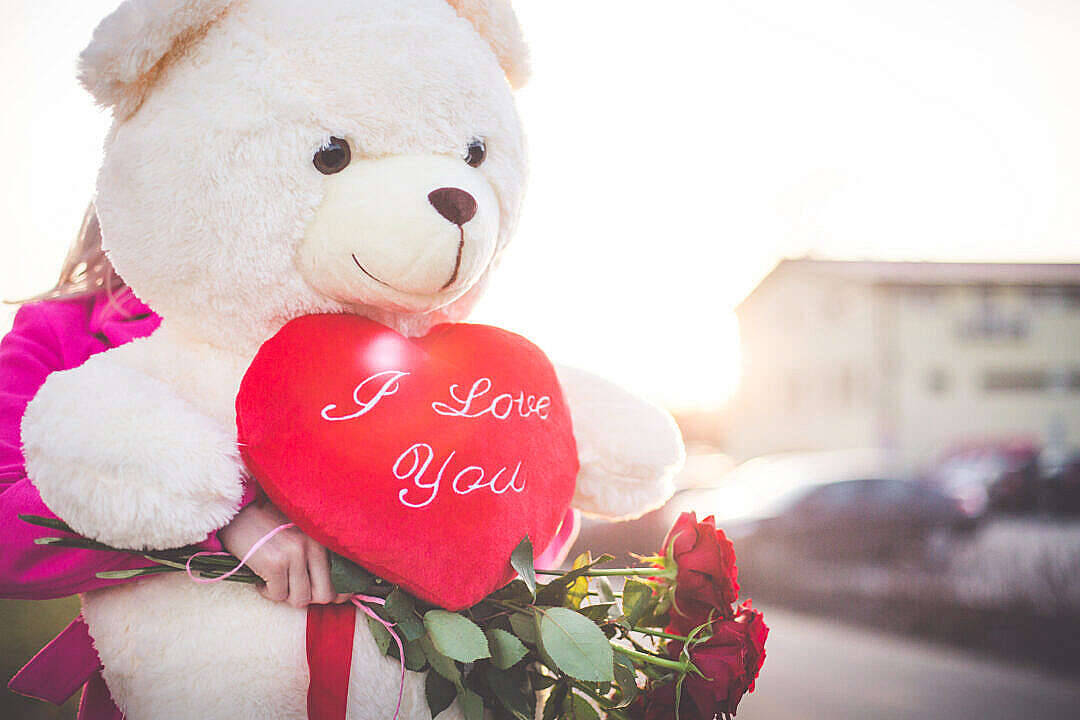 giant white teddy bear, red heart pillow with I Love You, bouquet of red roses, SD Desktop Wallpaper