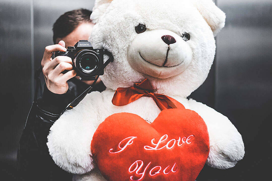Cute Teddy Bear, white teddy bear, red heart pillow, SD Desktop Wallpaper