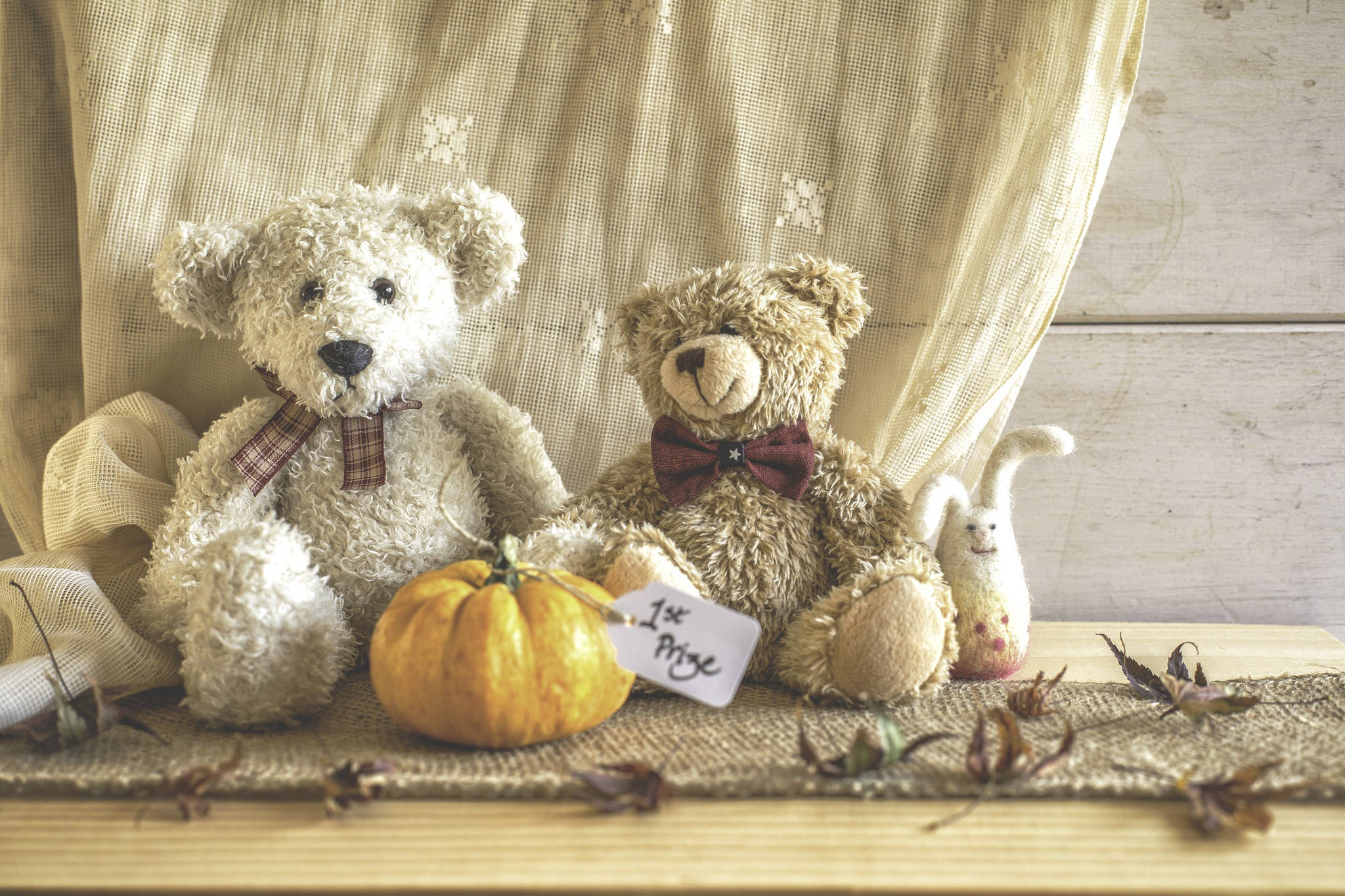 teddy bear, bow tie, pumpkin, Full HD Desktop Wallpaper