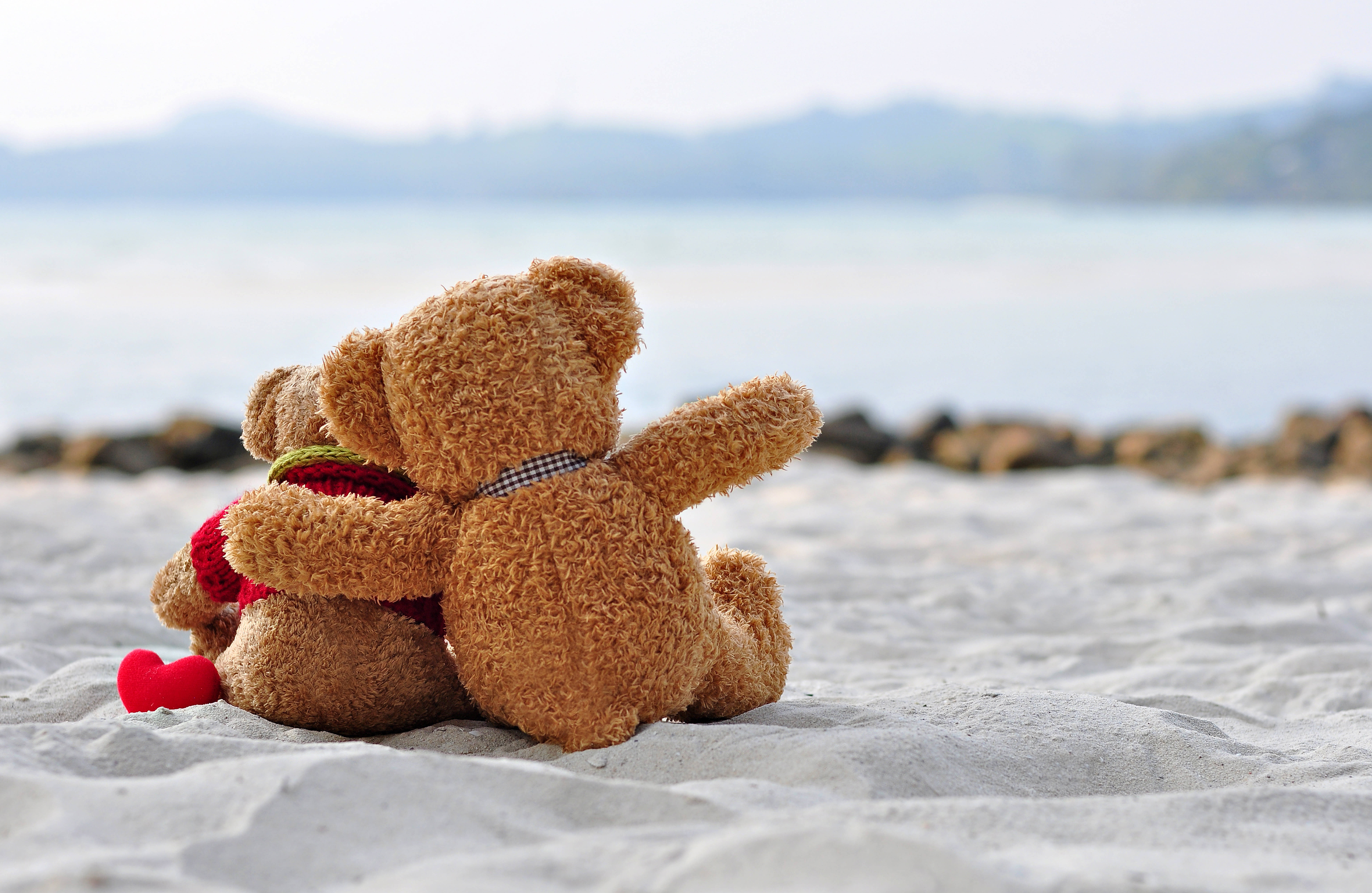 cute teddy bear, sandy beach, calm sea, 8K Desktop Wallpaper