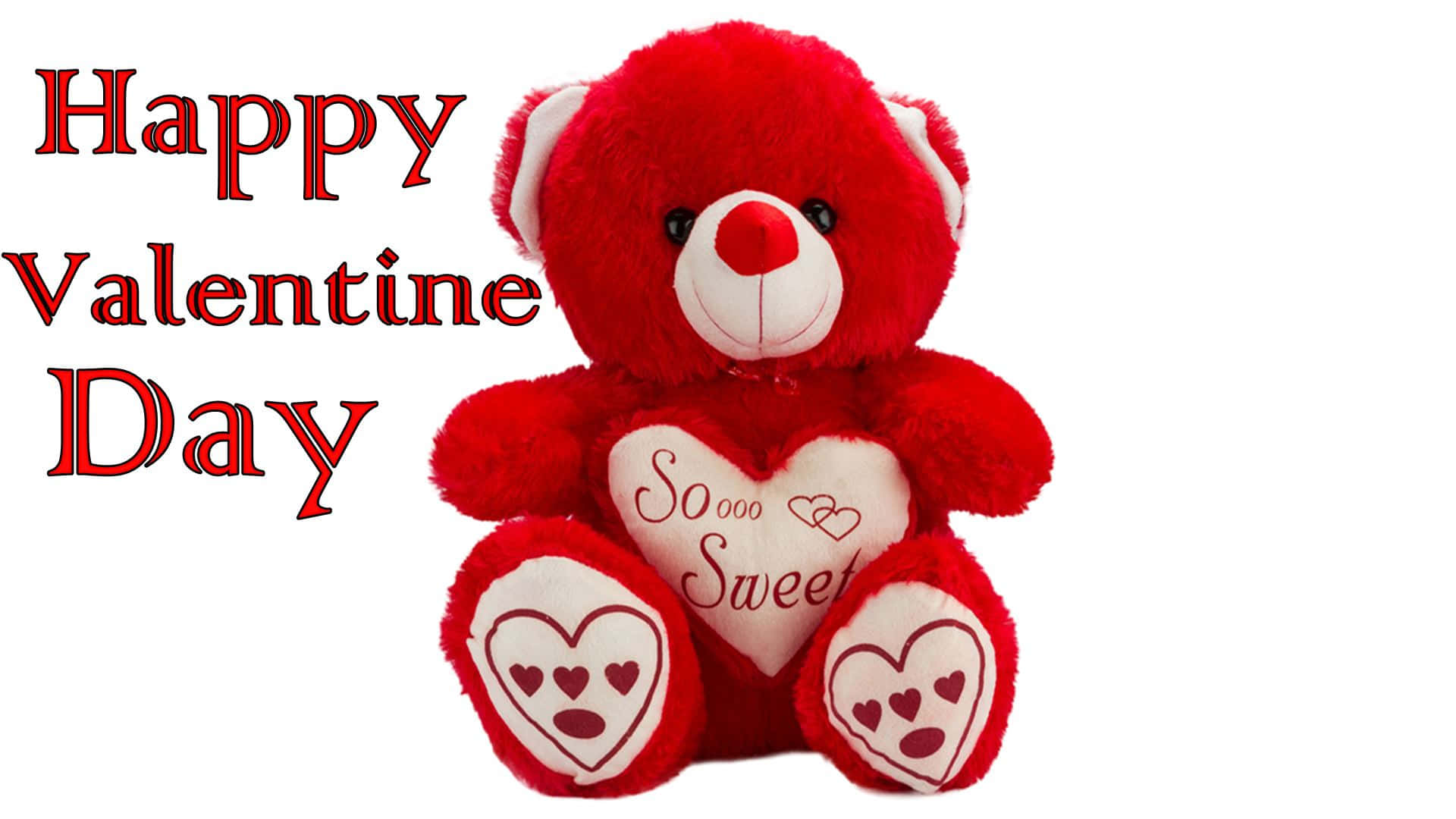 Cute Happy Valentine Day Red Bear, fluffy red teddy bear, heart that reads so sweet, Full HD Desktop Wallpaper
