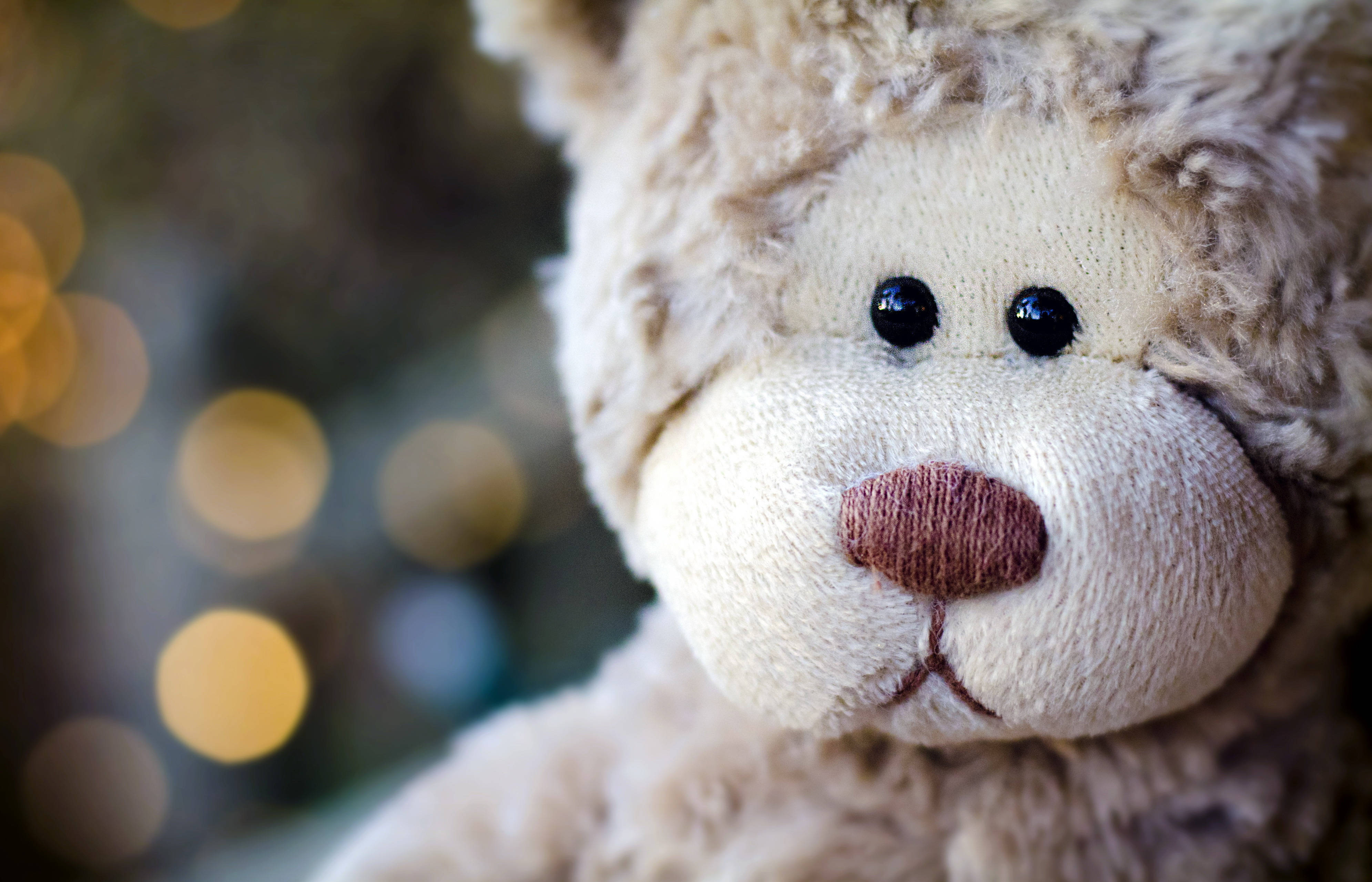 funny cute teddy bear, soft beige teddy bear, dark eyes, 4K Desktop Wallpaper