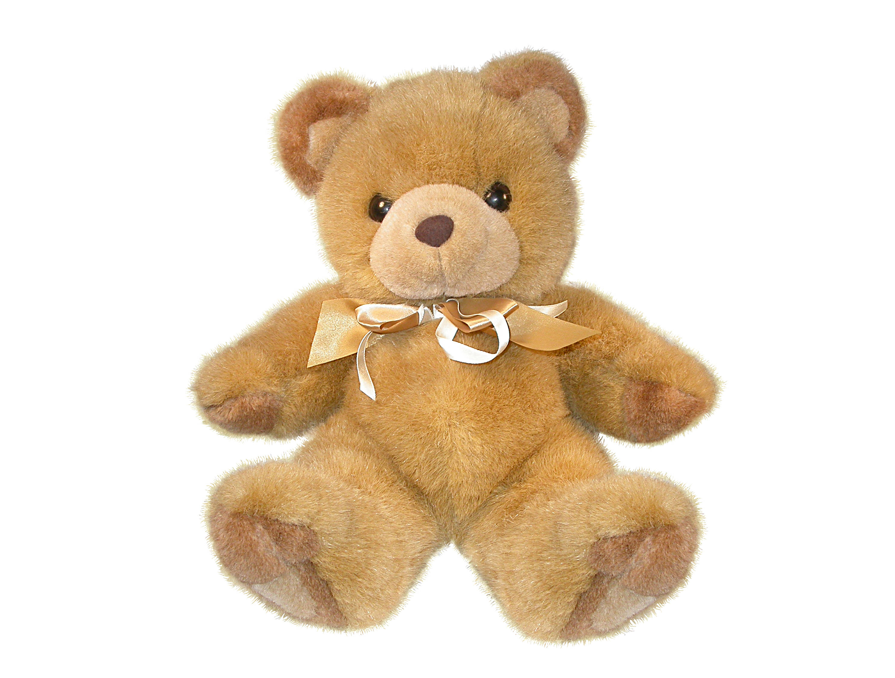 Cute Teddy Bear, soft brown plush teddy bear, white background, 2K Desktop Wallpaper