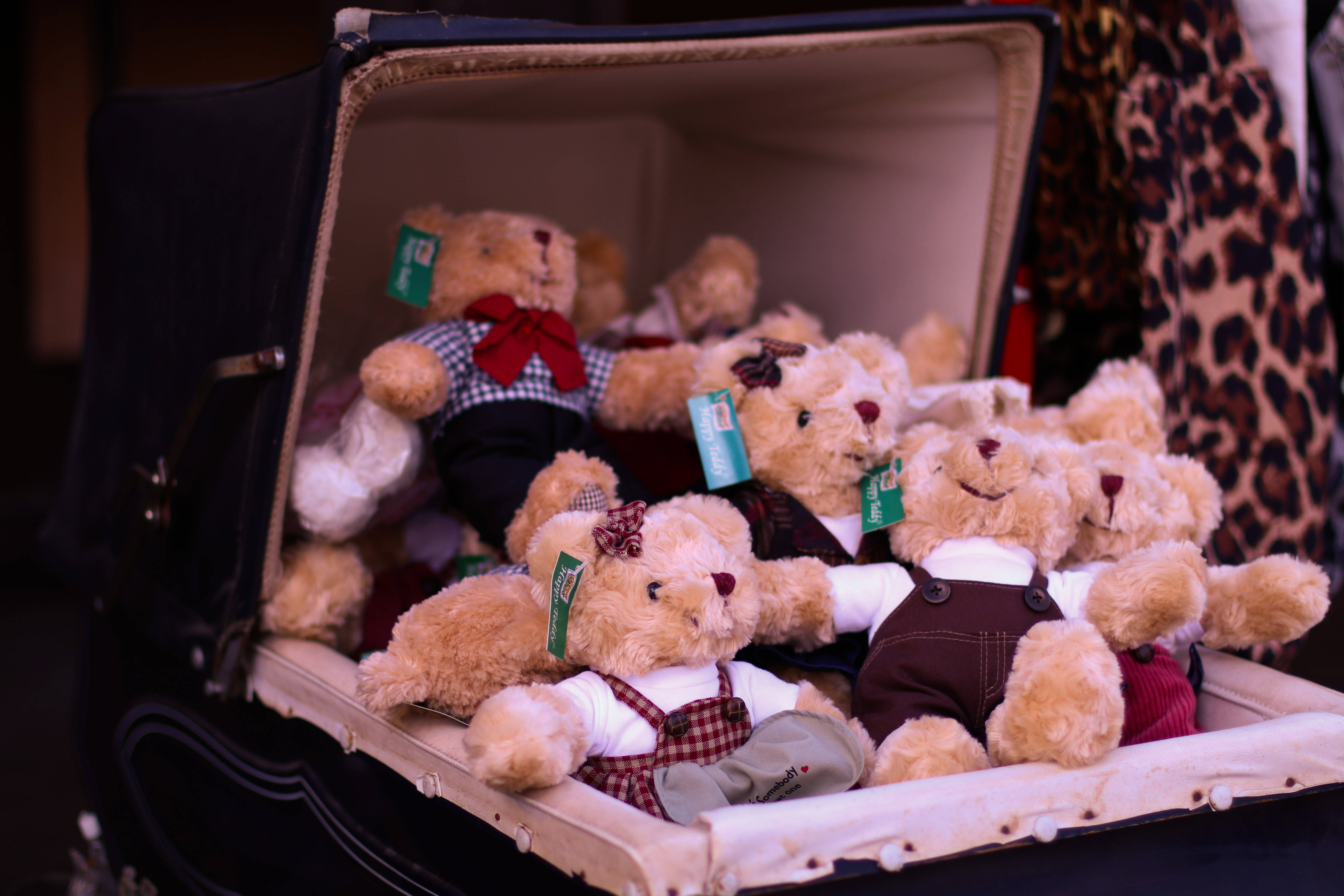 cute teddy bear, vintage carriage, colorful outfits, 5K Desktop Wallpaper