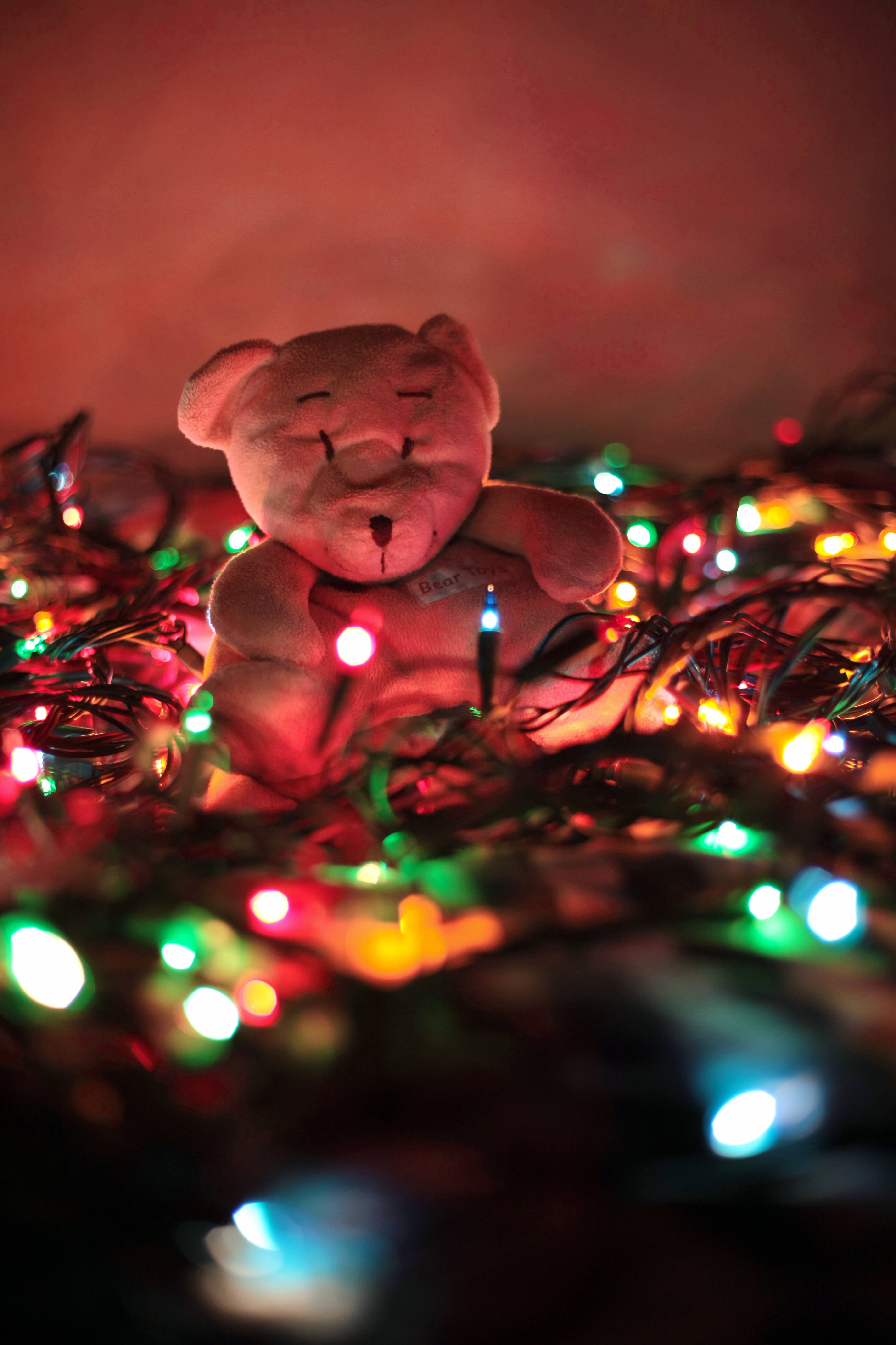 cute teddy bear, glowing multicolored string lights, warm red glow, 5K Phone Wallpaper