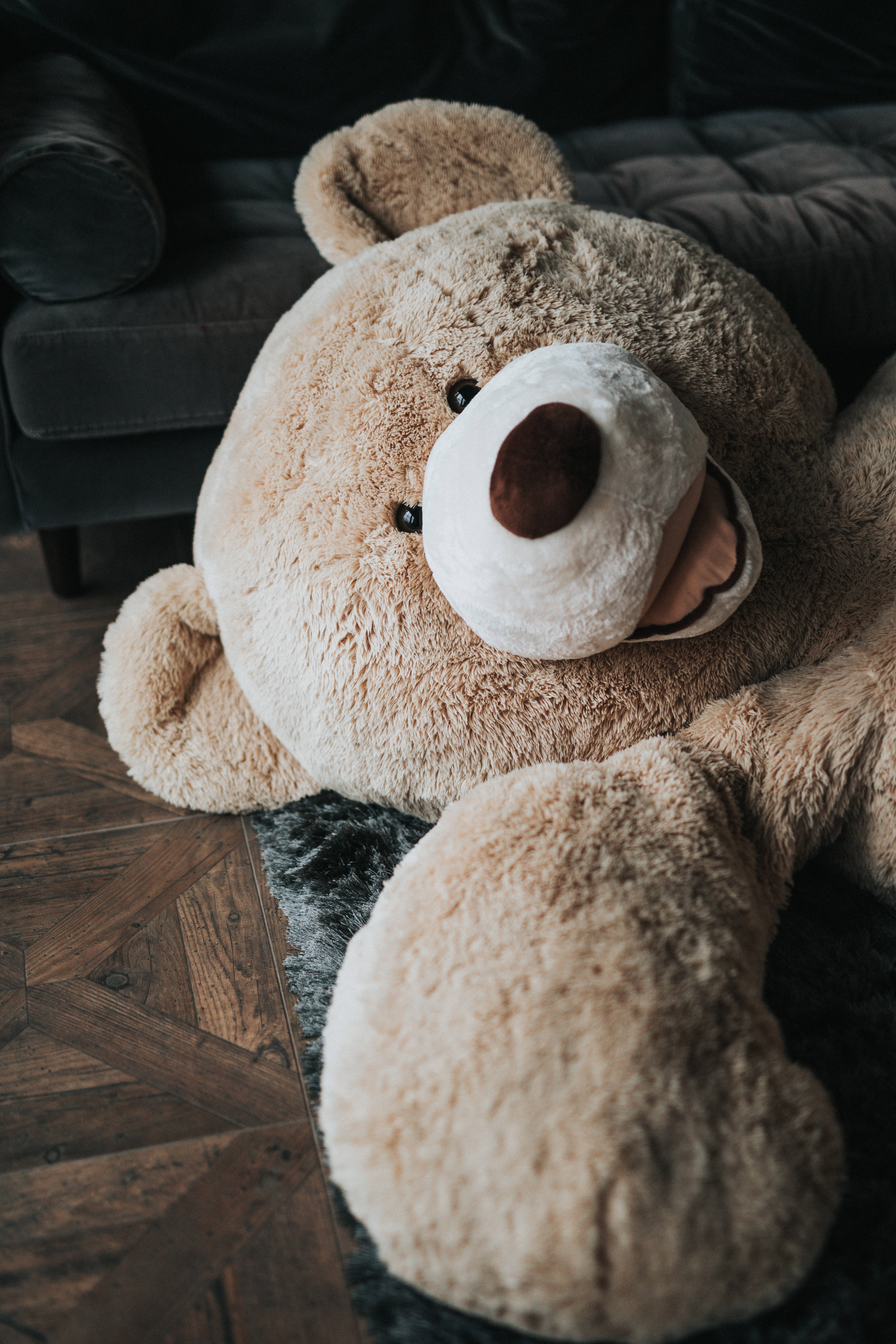teddy bear, fluffy, beige, 5K Phone Wallpaper