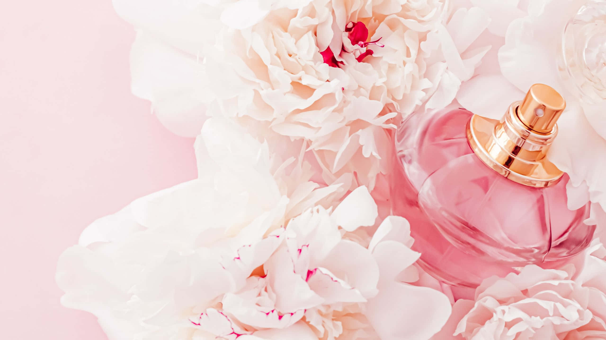 cute things, pink perfume bottle, white peonies, 2K Desktop Wallpaper