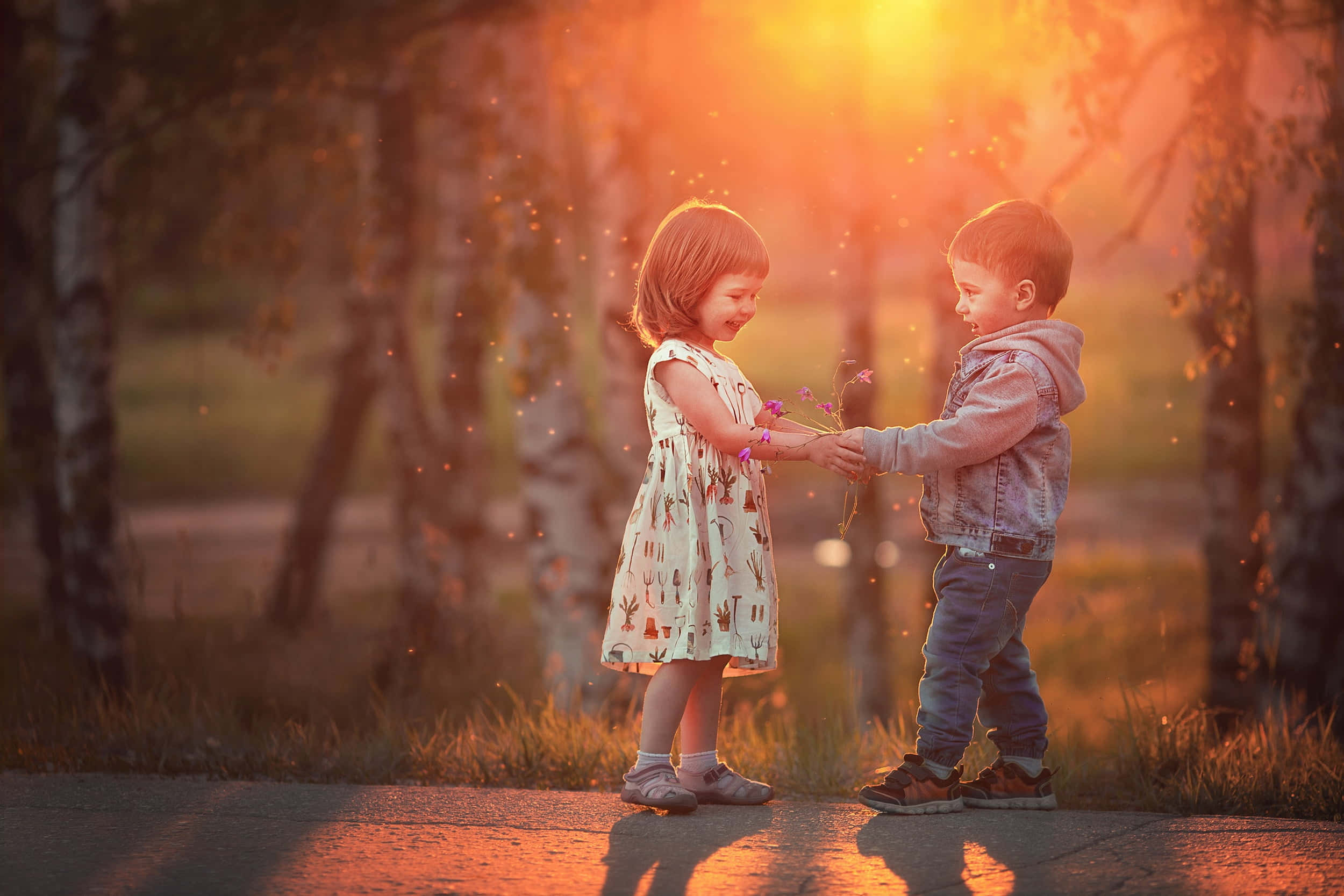 toddler, golden sunset, trees, Full HD Desktop Wallpaper