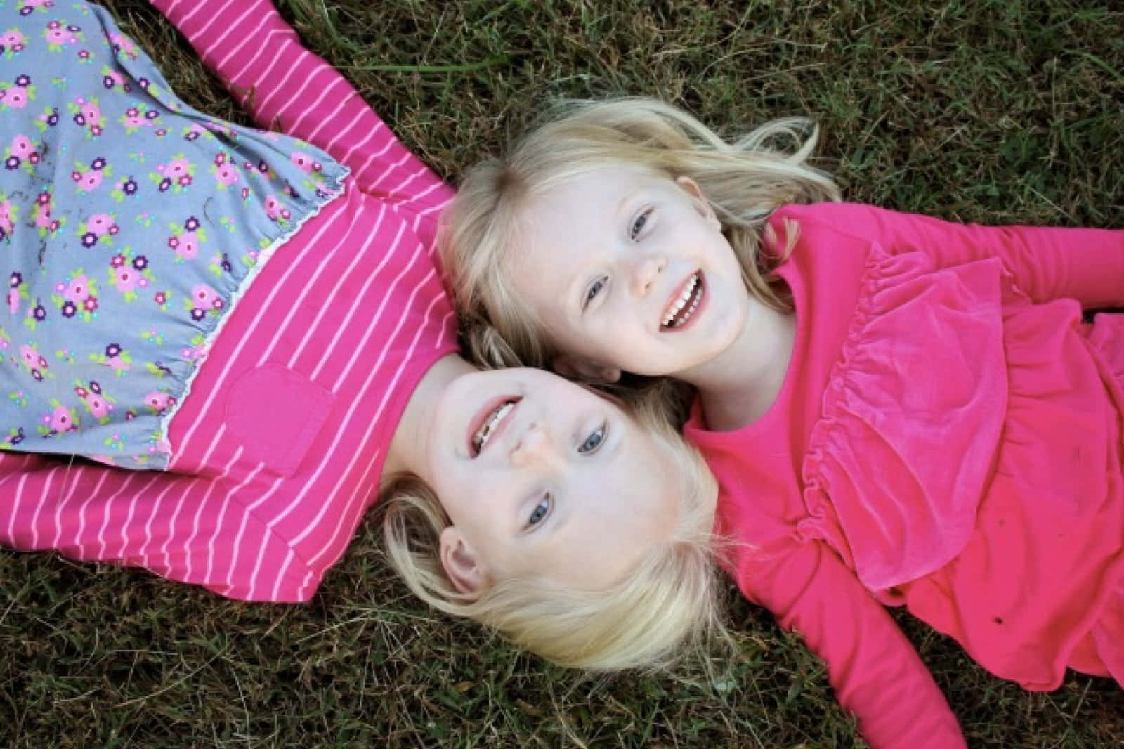 blonde girls, pink outfits, green grass, HD Desktop Wallpaper