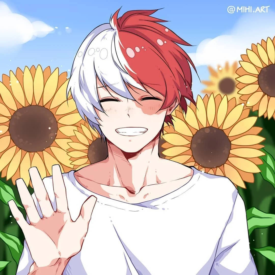 Cute Todoroki, sunflower field, bright blue sky, SD Desktop Wallpaper