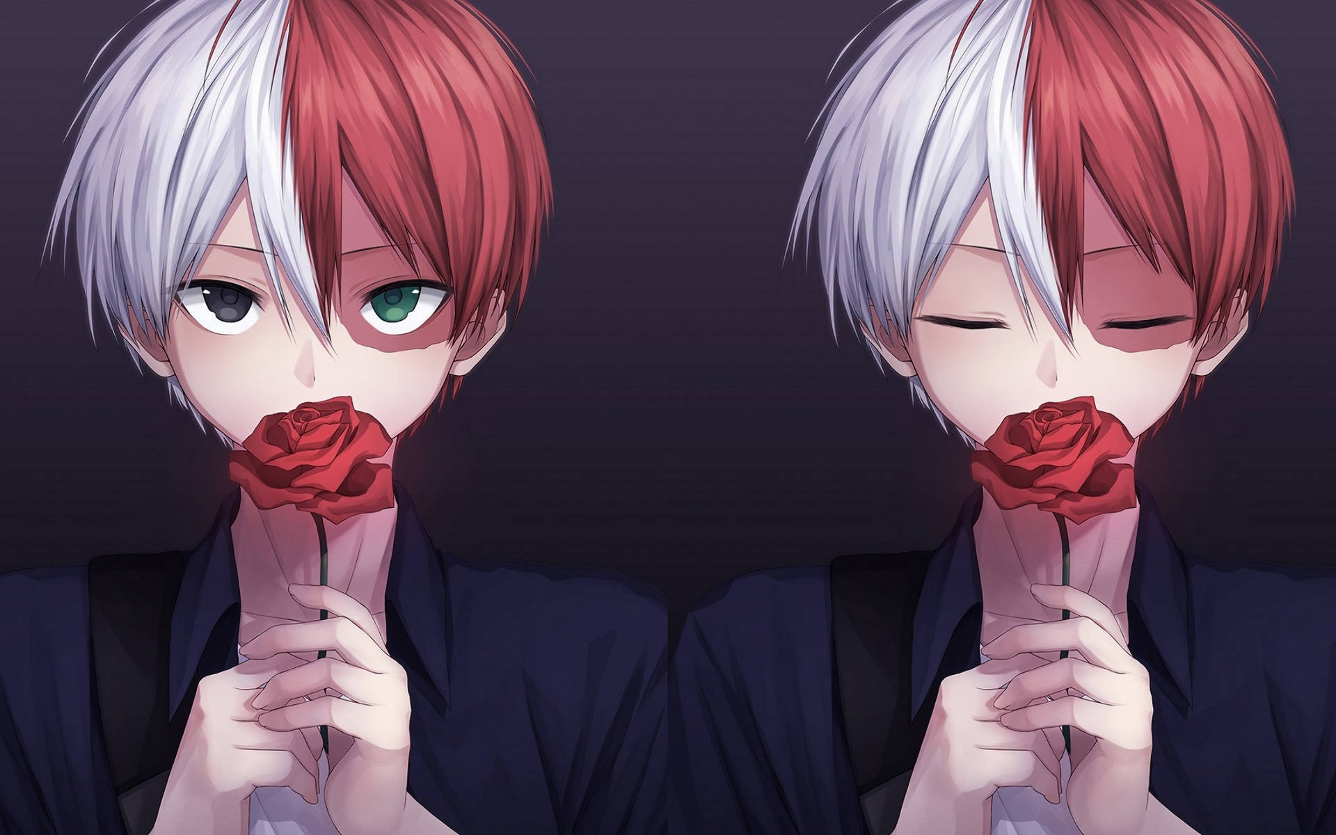 Cute Todoroki, red rose, red and white hair, Full HD Desktop Wallpaper