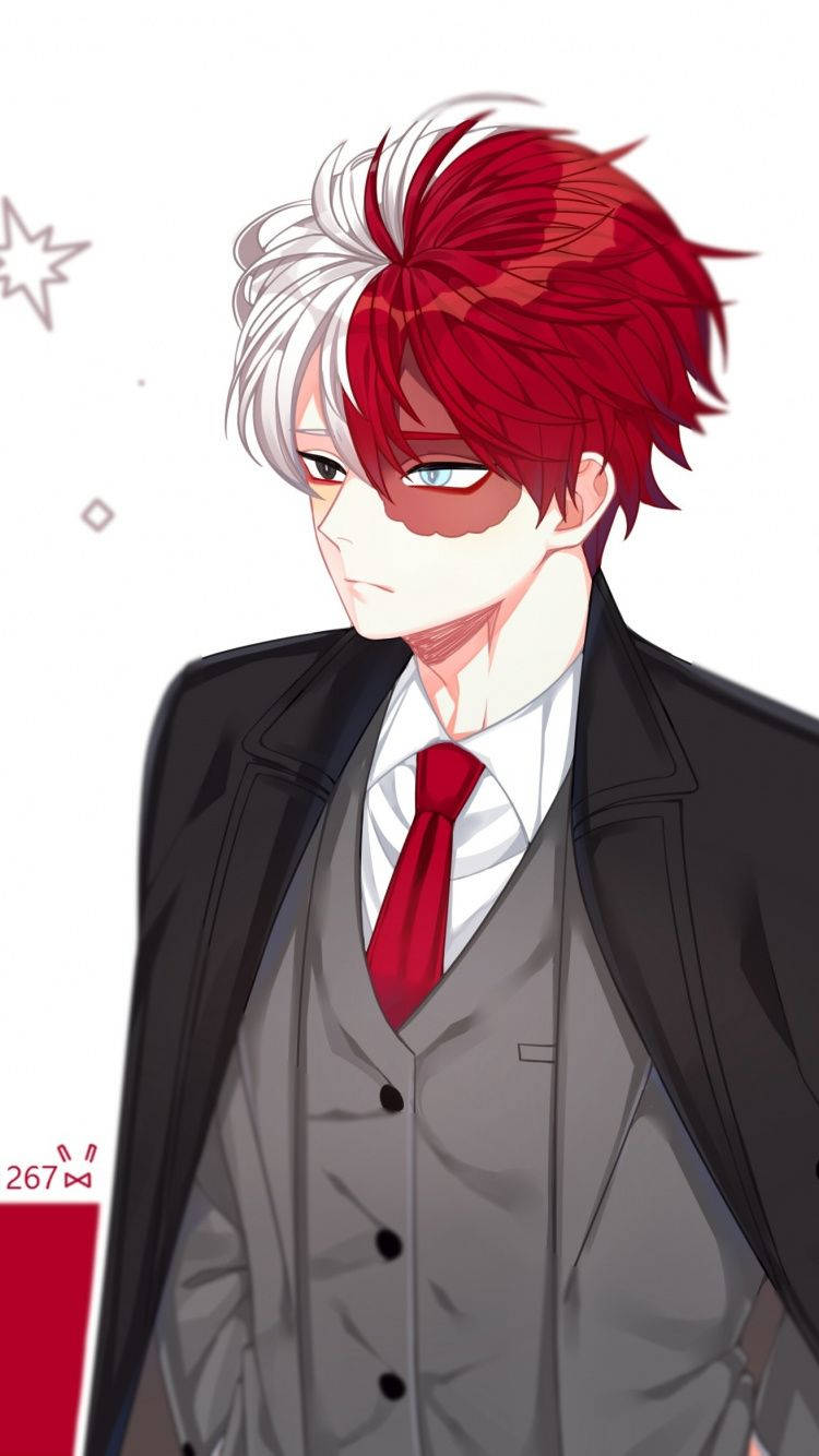 Todoroki, cute tuxedo, red and white hair, HD Phone Wallpaper