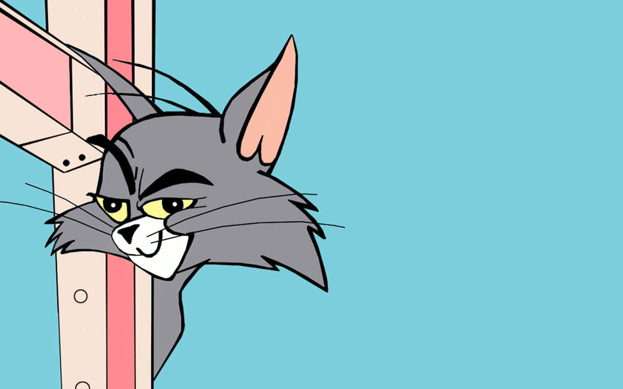Tom and Jerry, cartoon cat, angry yellow eyes, HD Desktop Wallpaper