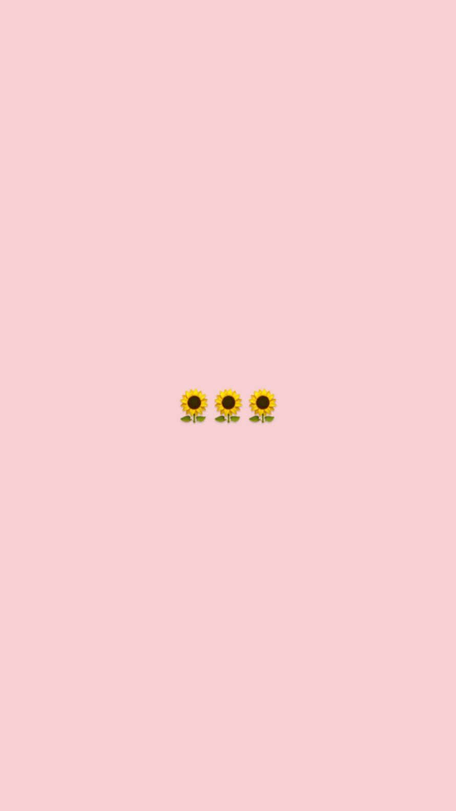 Cute Trendy, sunflowers, soft pink background, HD Phone Wallpaper