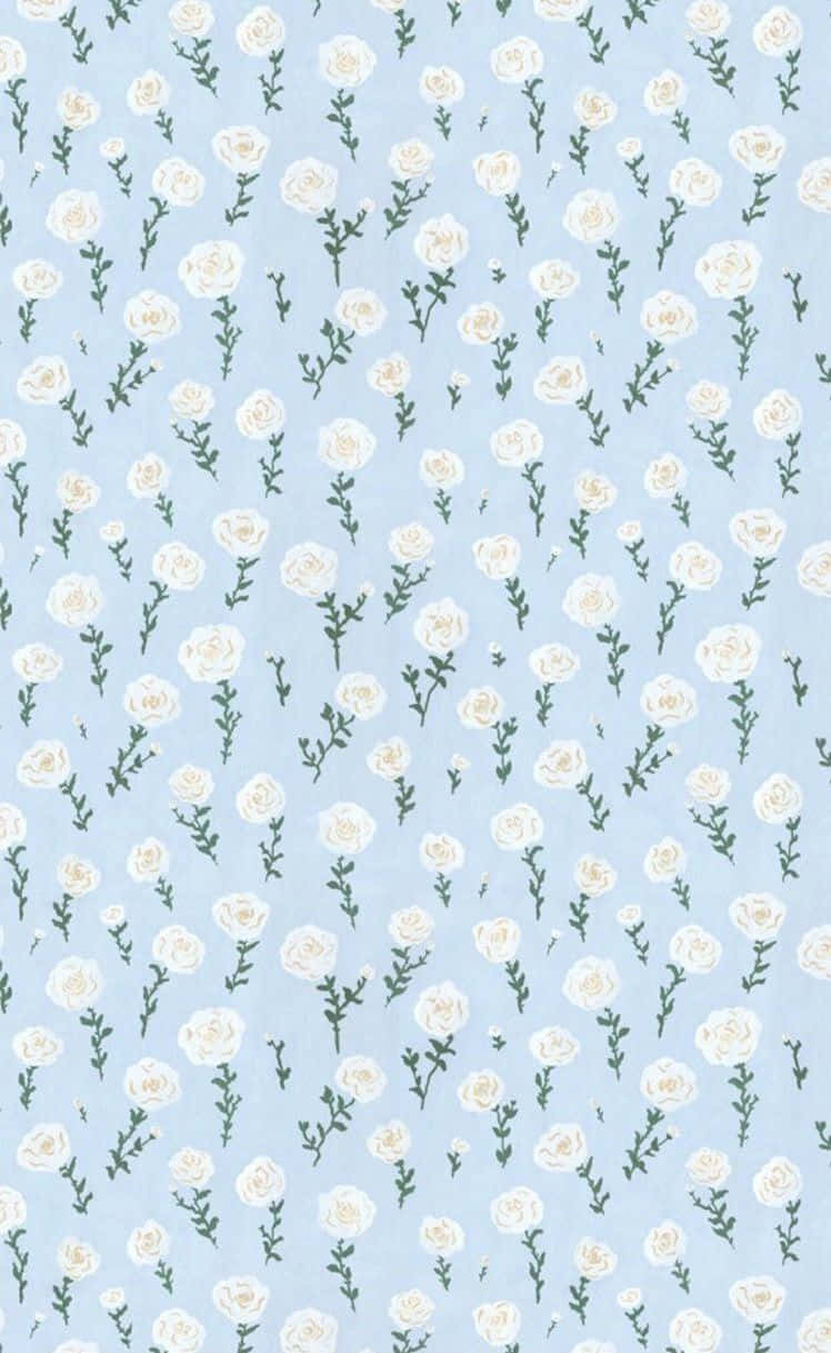 white roses, green stems, soft blue background, SD Phone Wallpaper
