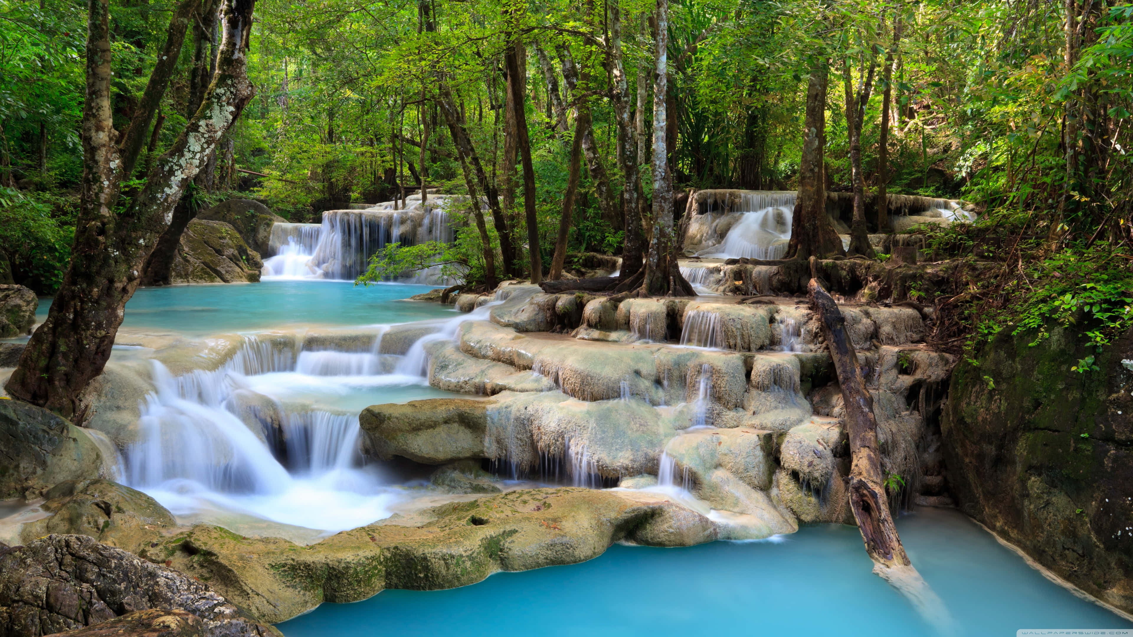 tropical beach, tropical waterfall, mossy rocks, 4K Desktop Wallpaper