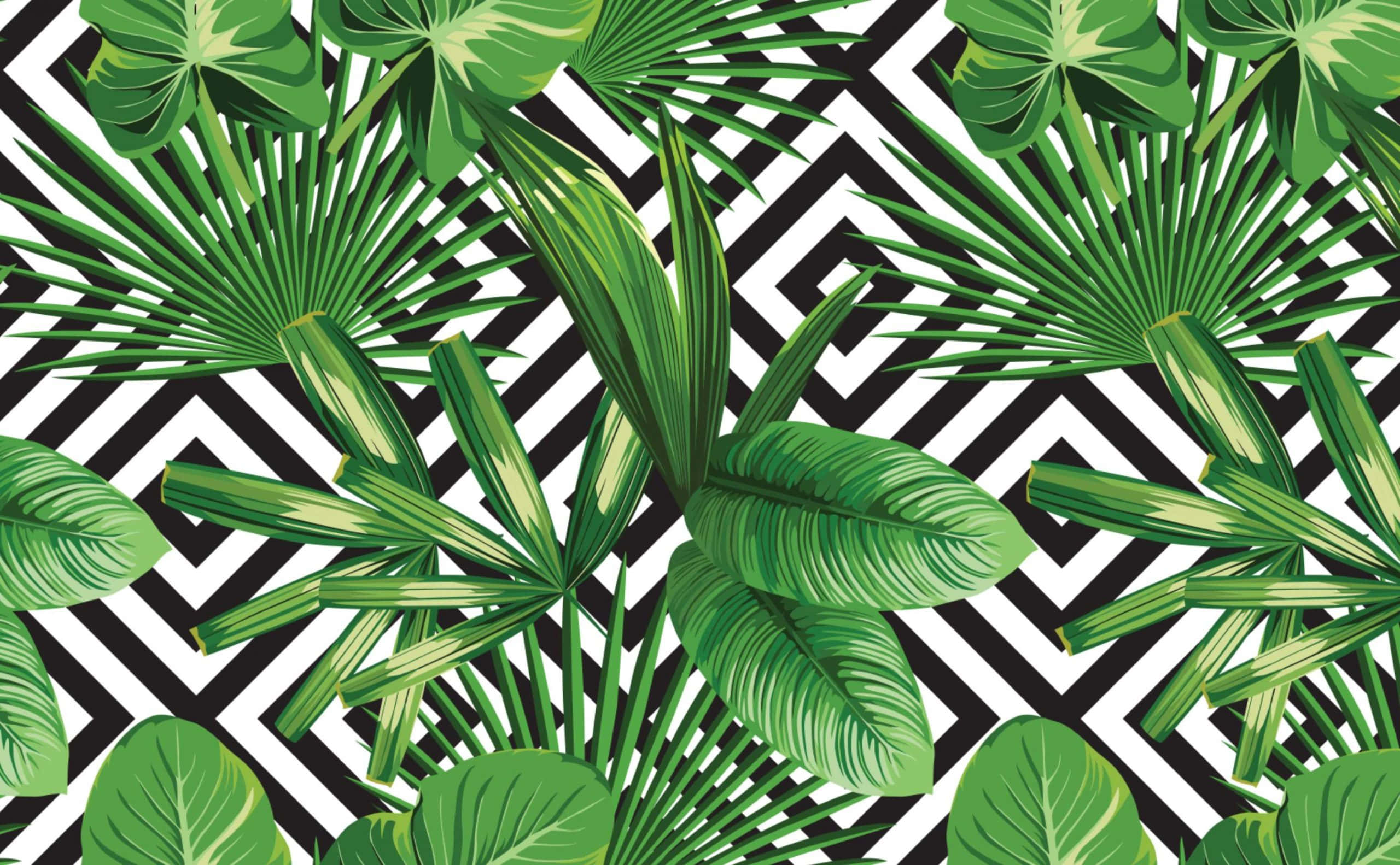 Cute Tropical, vibrant green tropical leaves, bold black and white zigzag pattern, 2K Desktop Wallpaper
