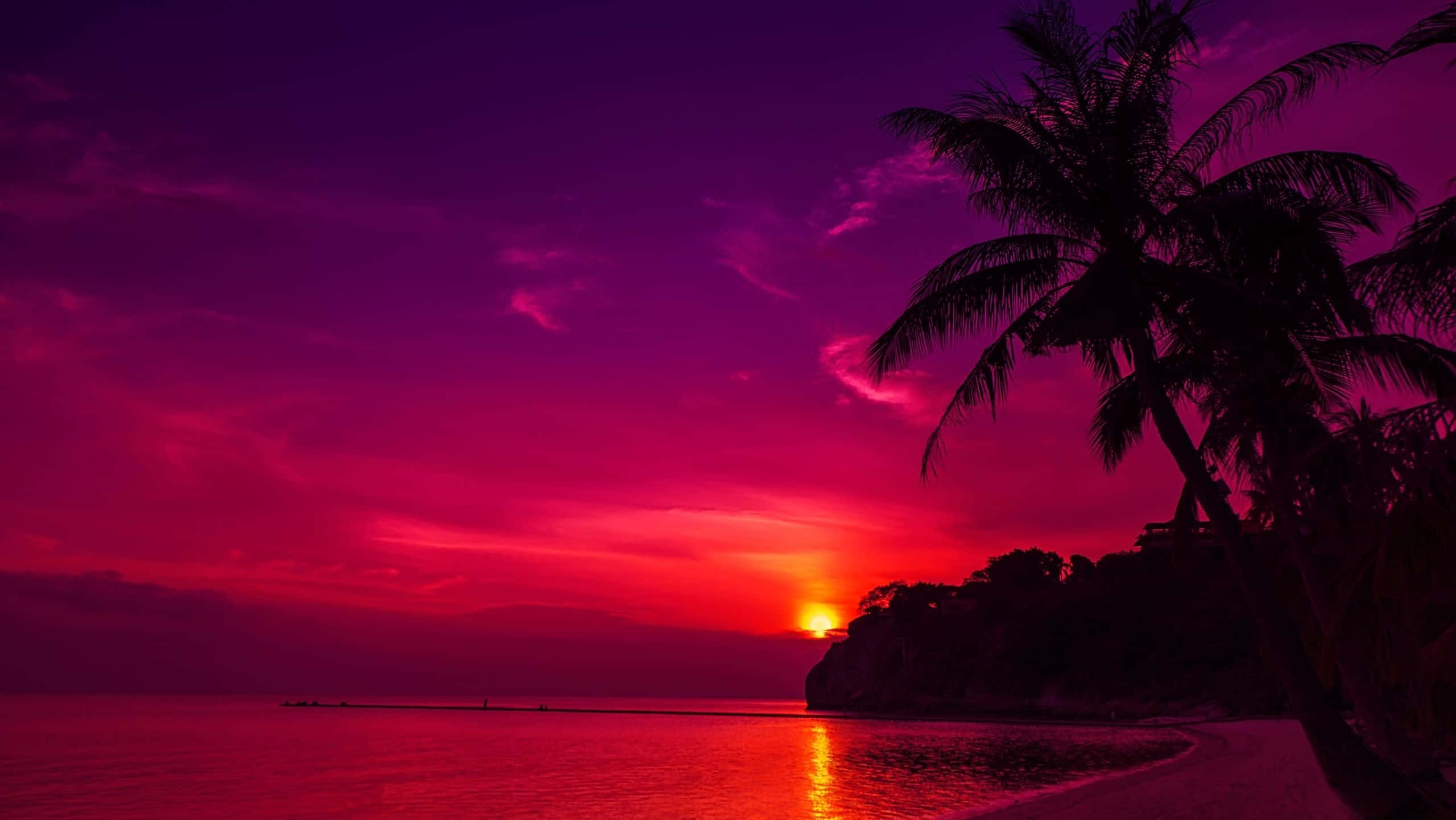 Purple Sunset, tropical beach, palm trees, 2K Desktop Wallpaper