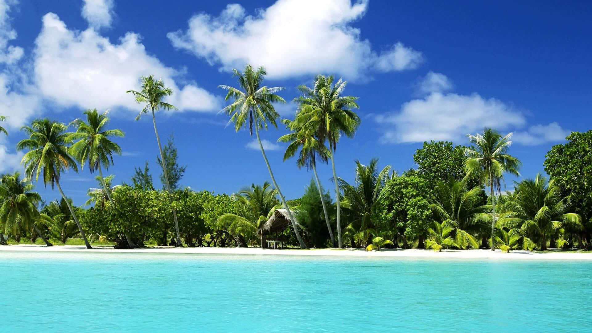 tropical beach, turquoise water, white sand, Full HD Desktop Wallpaper