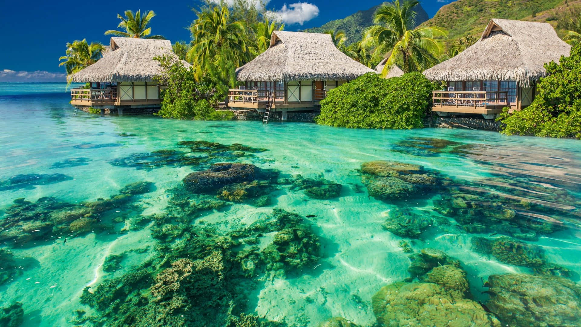 Cute Tropical, overwater bungalows, thatched roofs, Full HD Desktop Wallpaper
