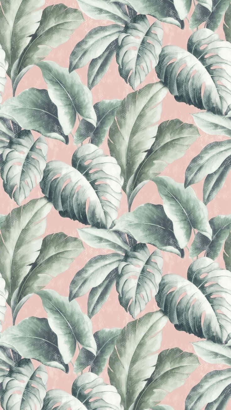 tropical aesthetic, muted green tones, soft pink textured background, HD Phone Wallpaper
