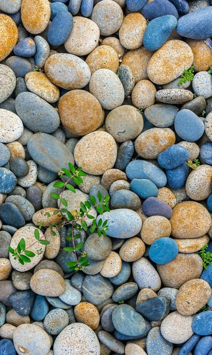 tropical paradise, turquoise blue waves, smooth rounded river stones, SD Phone Wallpaper