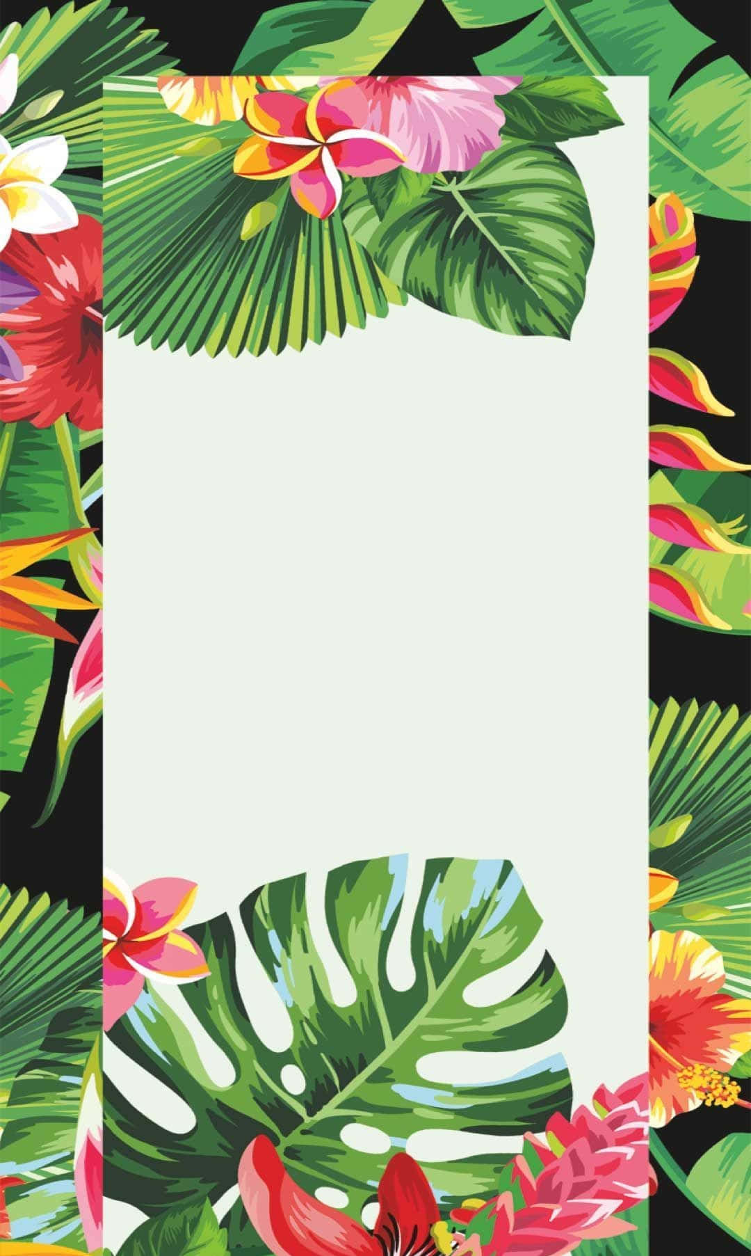 tropical aesthetic, exotic tropical paradise, vibrant tropical flowers, HD Phone Wallpaper