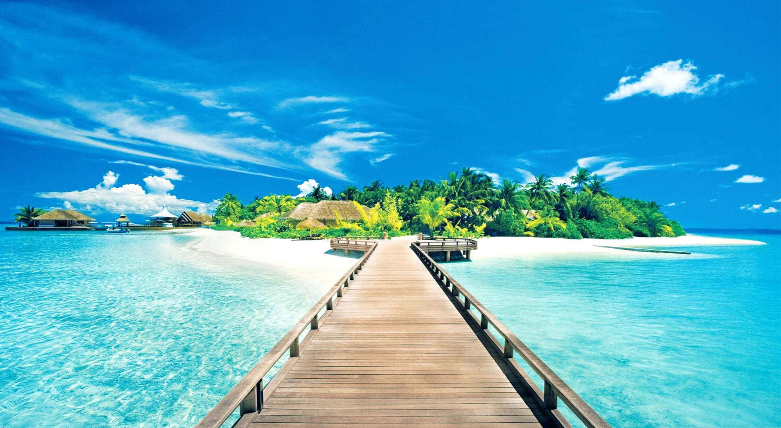 wooden pier, lush tropical island, palm trees, 2K Desktop Wallpaper