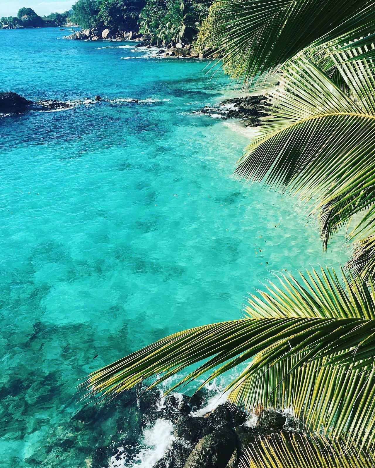 tropical island, vibrant turquoise waters, rocky shores, HD Phone Wallpaper