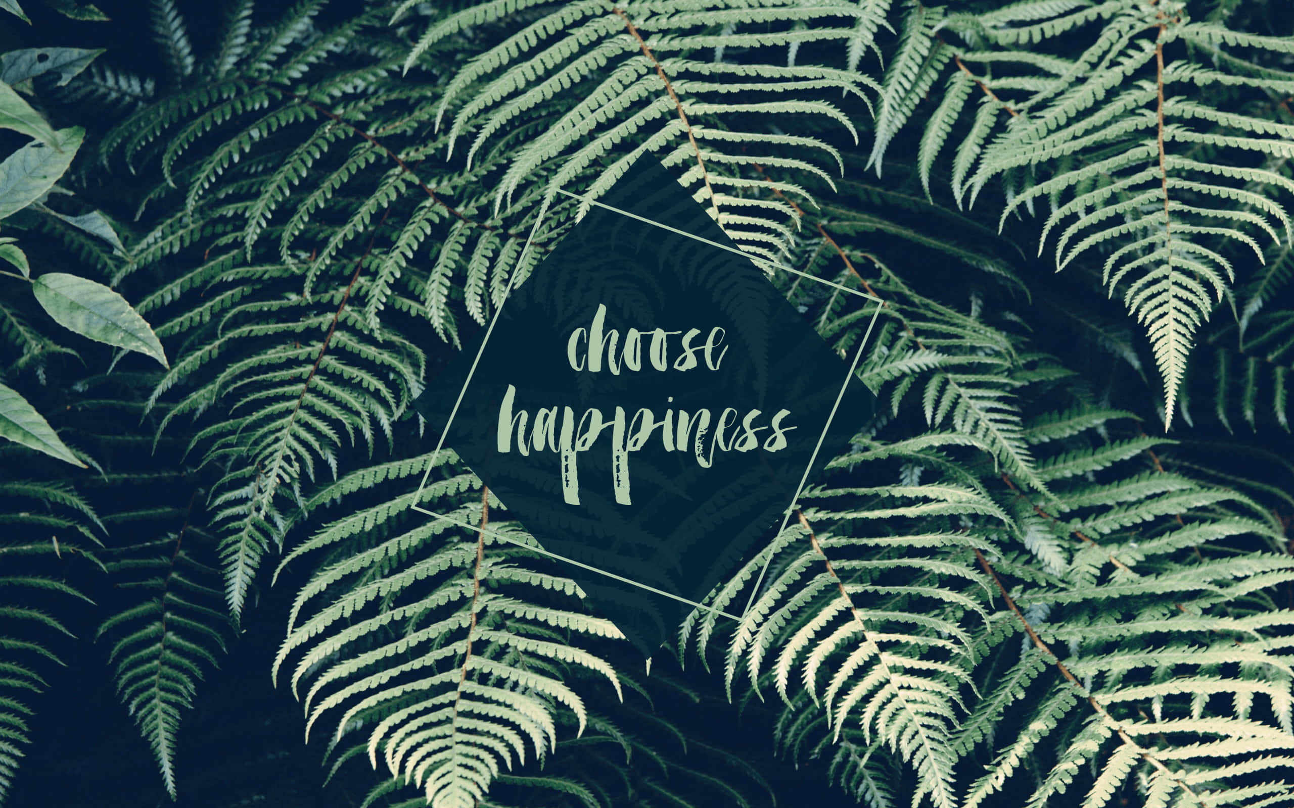 aesthetic tropical, lush fern fronds, dark hexagon, 2K Desktop Wallpaper