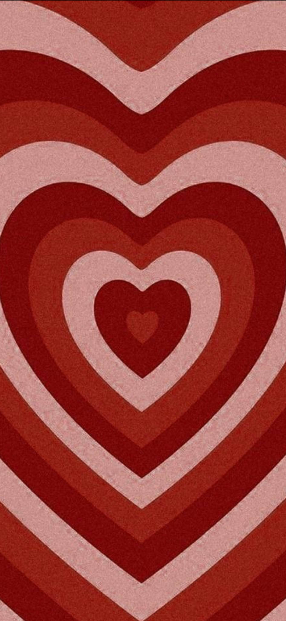 Valentine's Day, hearts, flowers, Full HD Phone Wallpaper