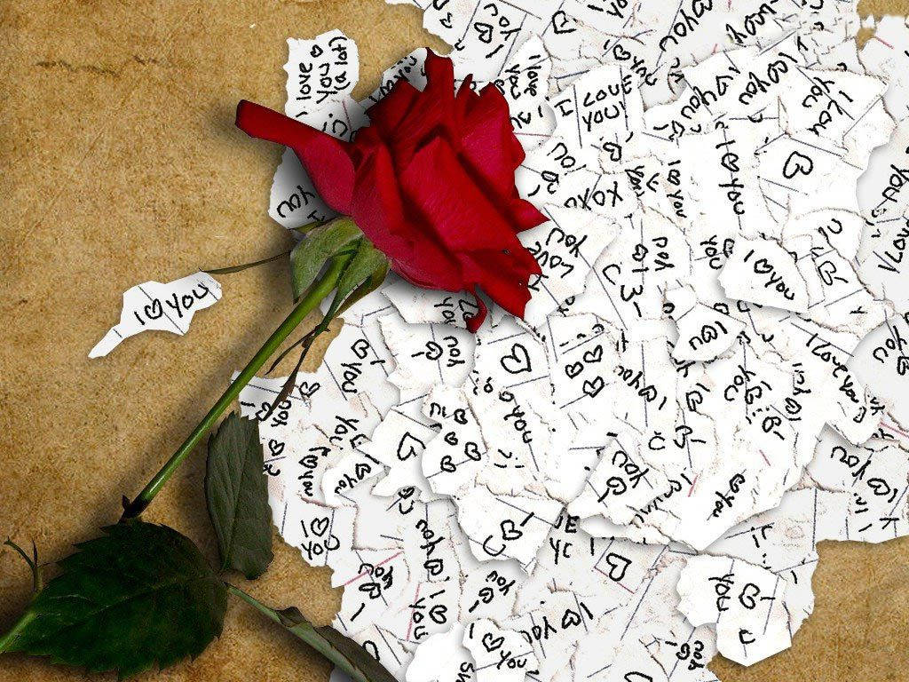 red rose, torn paper scraps, handwritten 'I love you' messages, SD Desktop Wallpaper