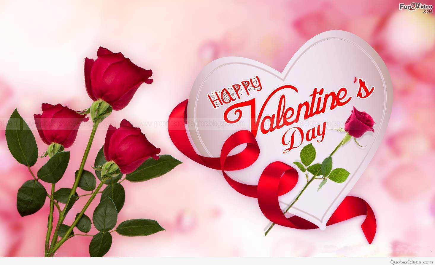 red roses, white heart-shaped sign, red cursive text, HD Desktop Wallpaper