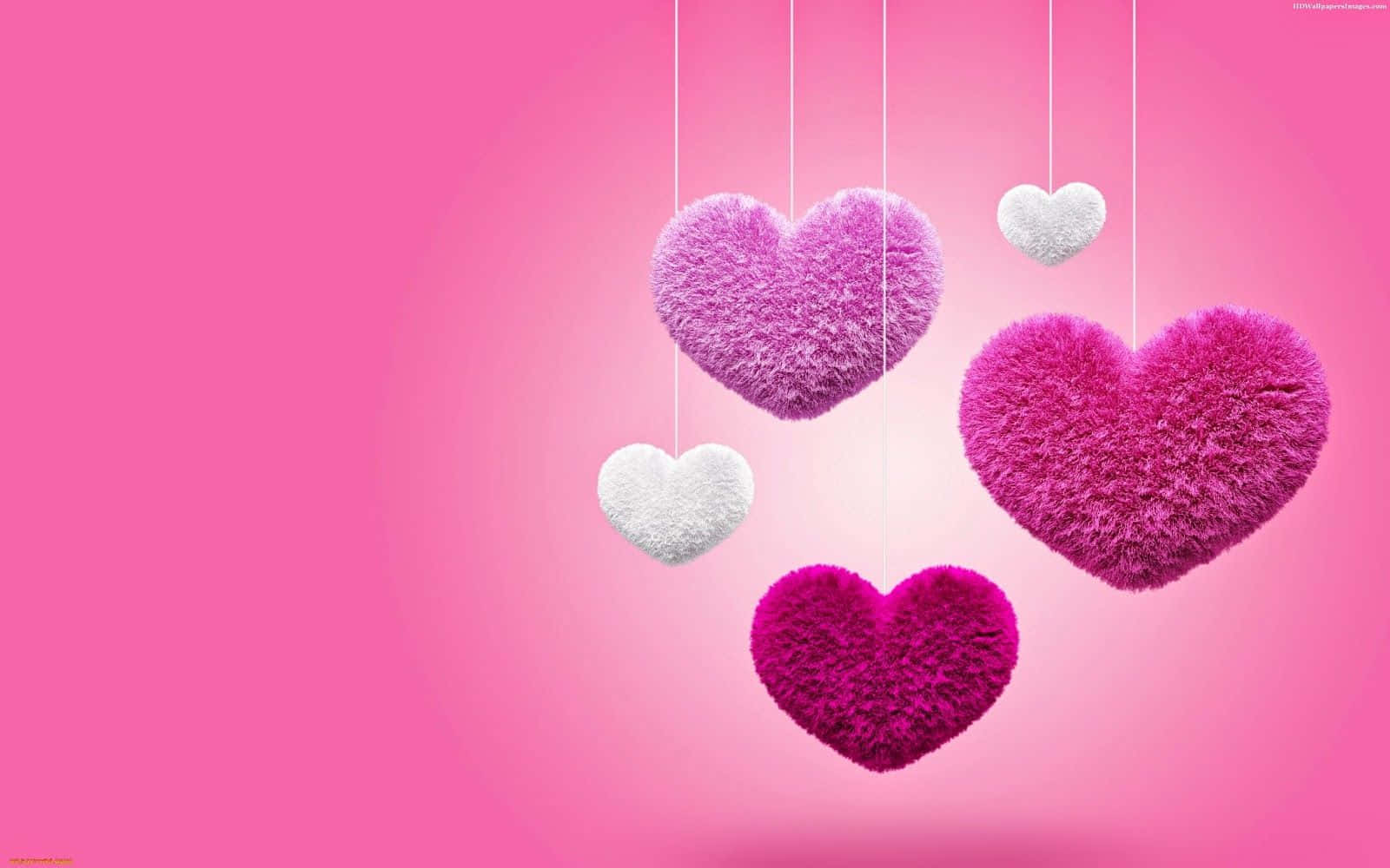 pink and purple minimalist cute valentines hearts, fuzzy textured hearts, pink and white, HD Desktop Wallpaper