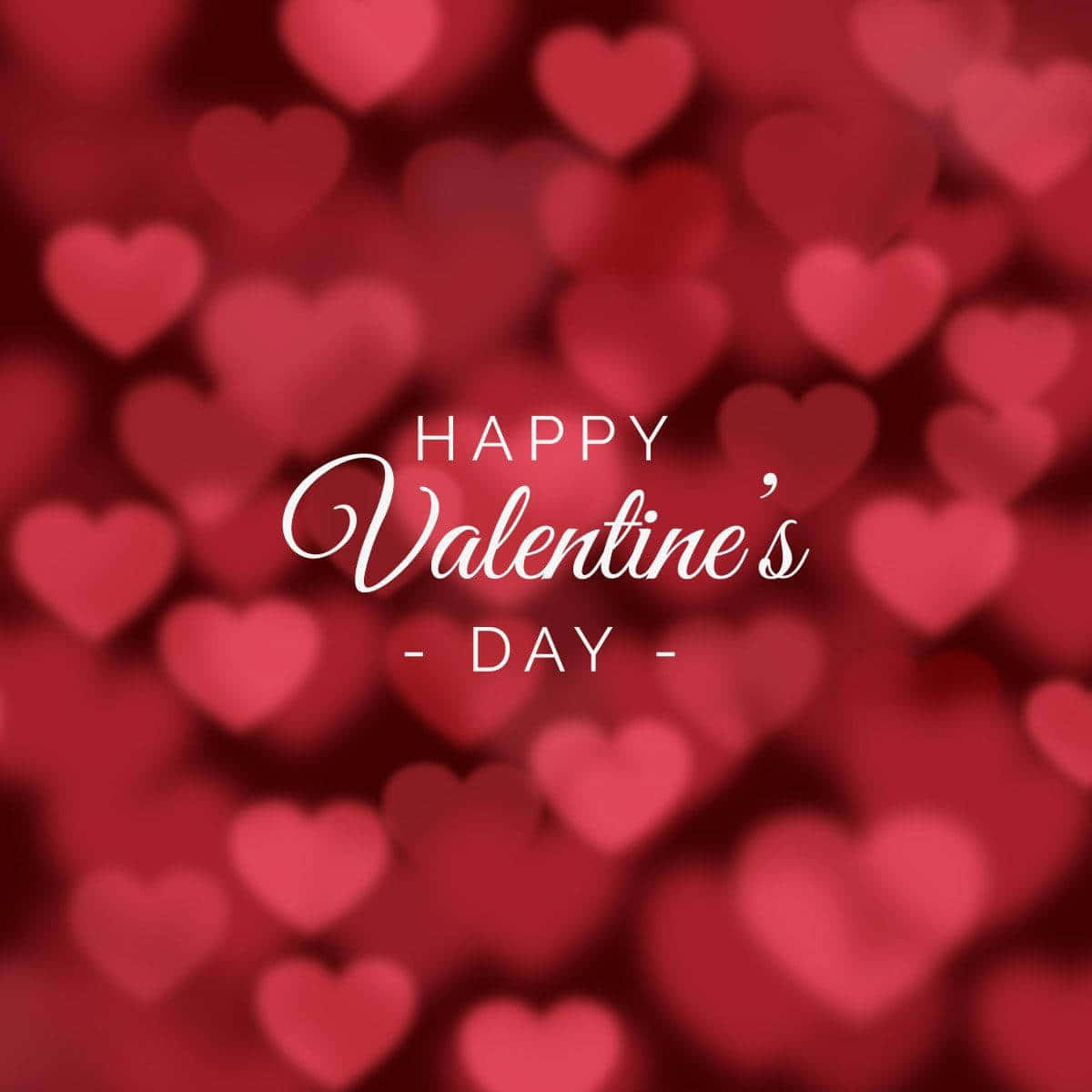 Valentine's Day, white cursive text, soft-focus background, SD Desktop Wallpaper