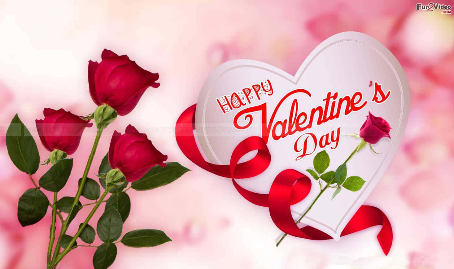 Valentine's Day, red roses, heart-shaped card, HD Desktop Wallpaper