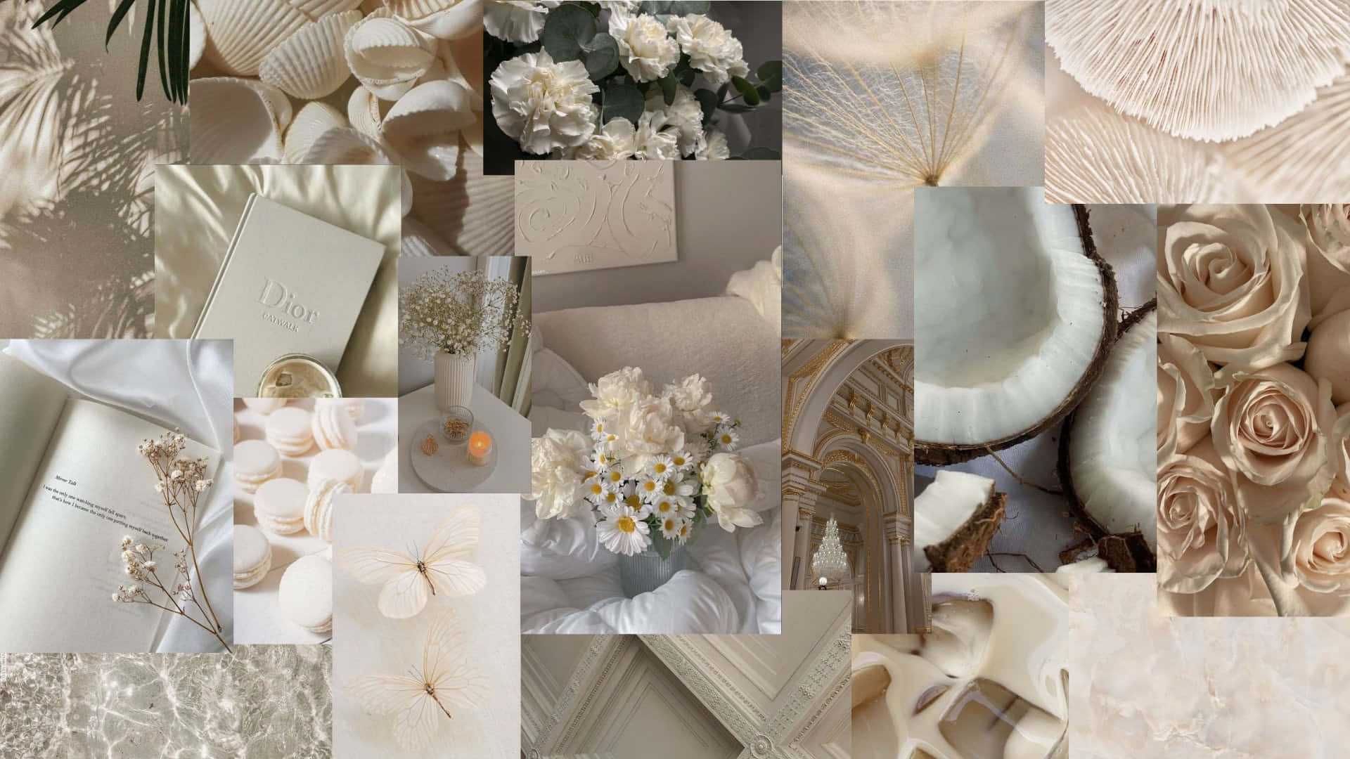 beige vanilla aesthetic, collage, seashells, Full HD Desktop Wallpaper