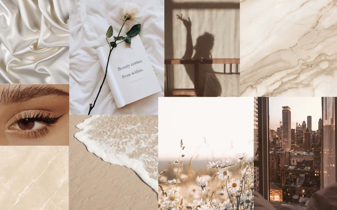 soft beige, cream tones, silk fabric, HD Desktop Wallpaper