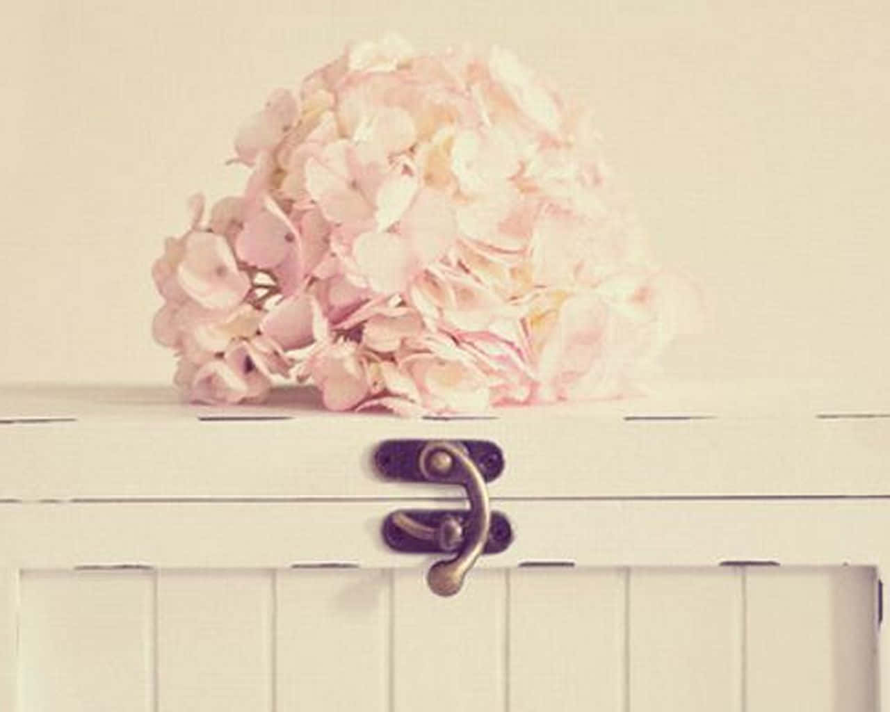 soft pink hydrangea bouquet, white wooden box, vintage brass latch, HD Desktop Wallpaper