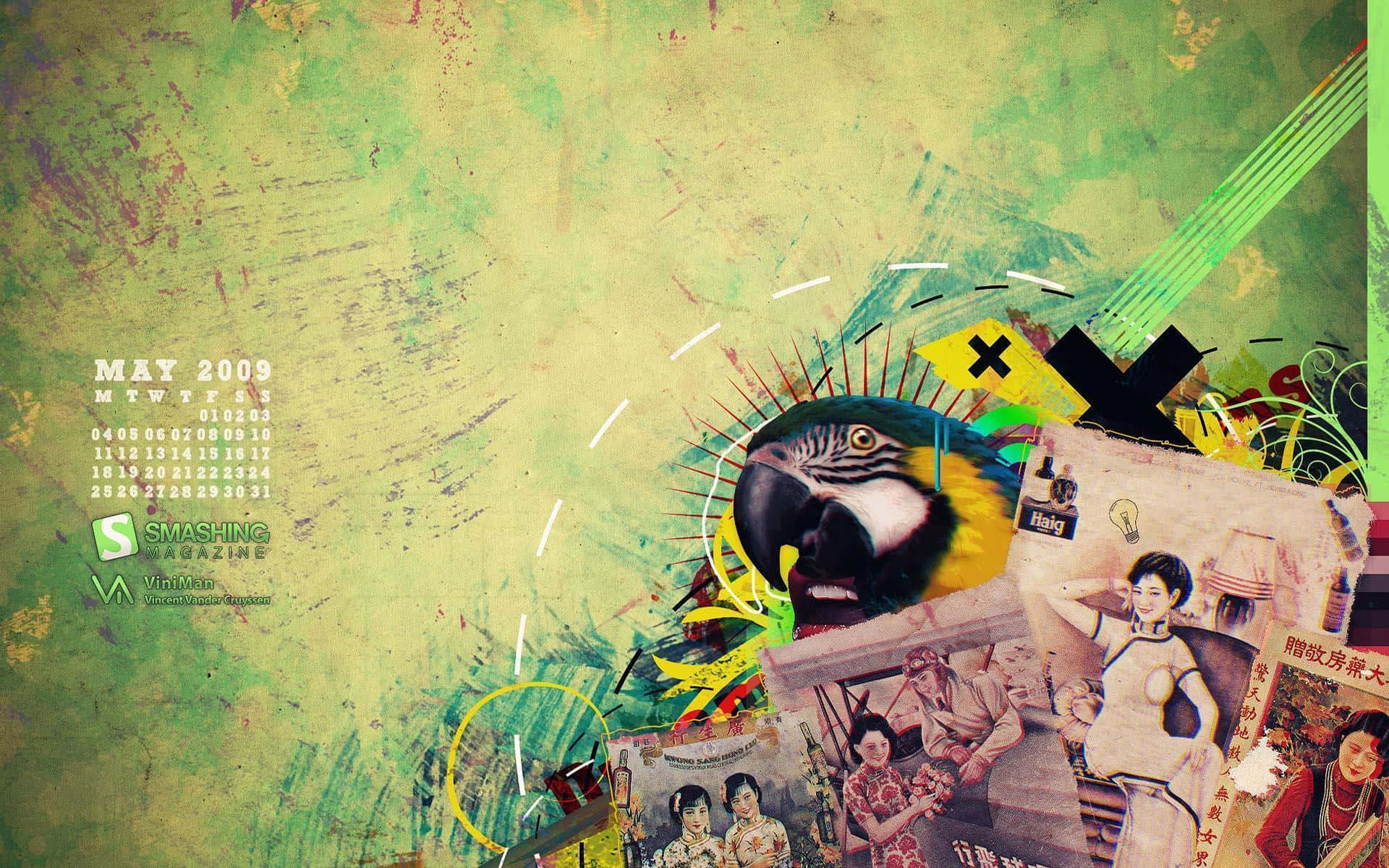 vintage photos, colorful macaw, abstract green splashes, Full HD Desktop Wallpaper