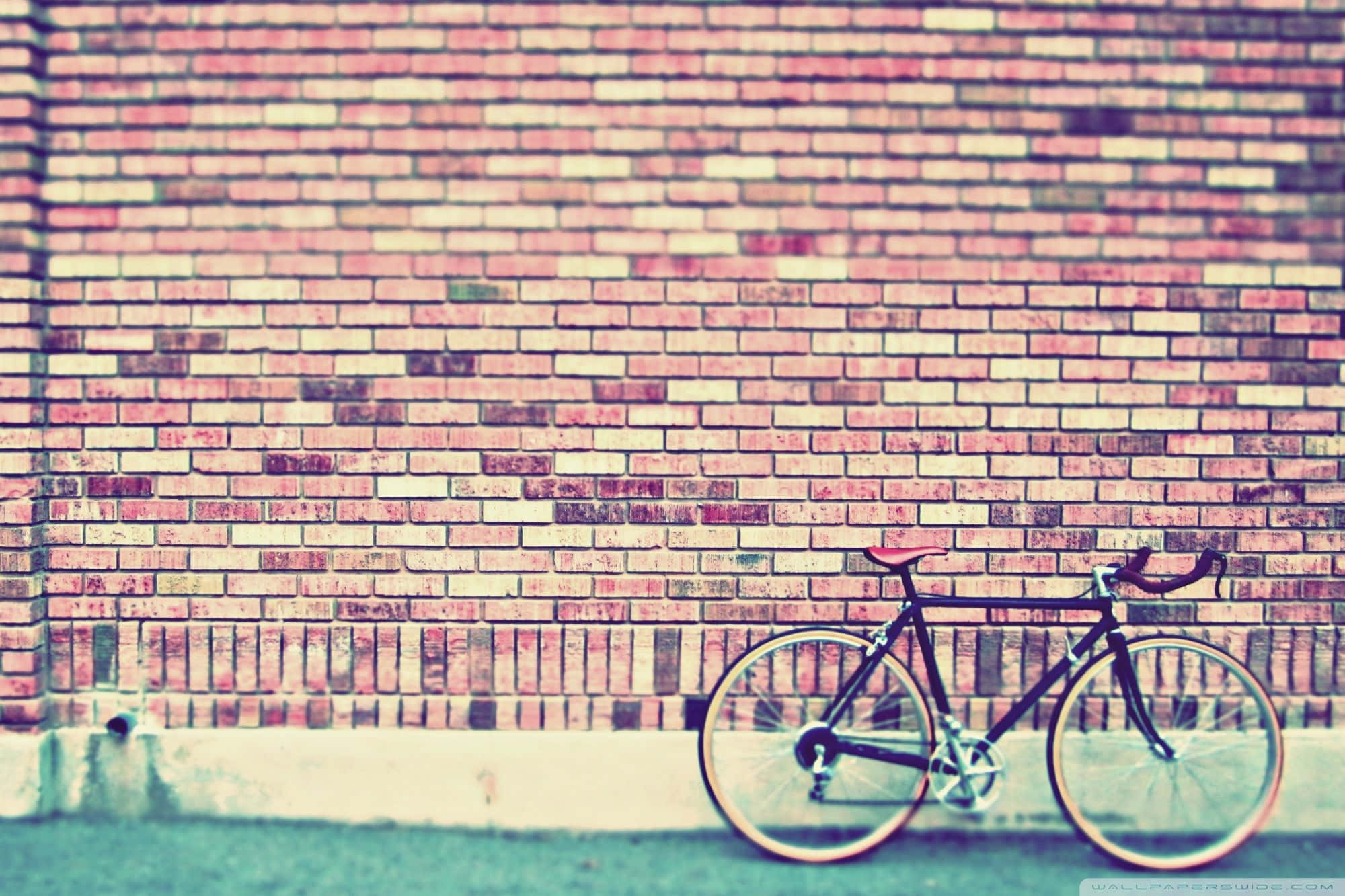 vintage bicycle, weathered brick wall, warm pink, Full HD Desktop Wallpaper