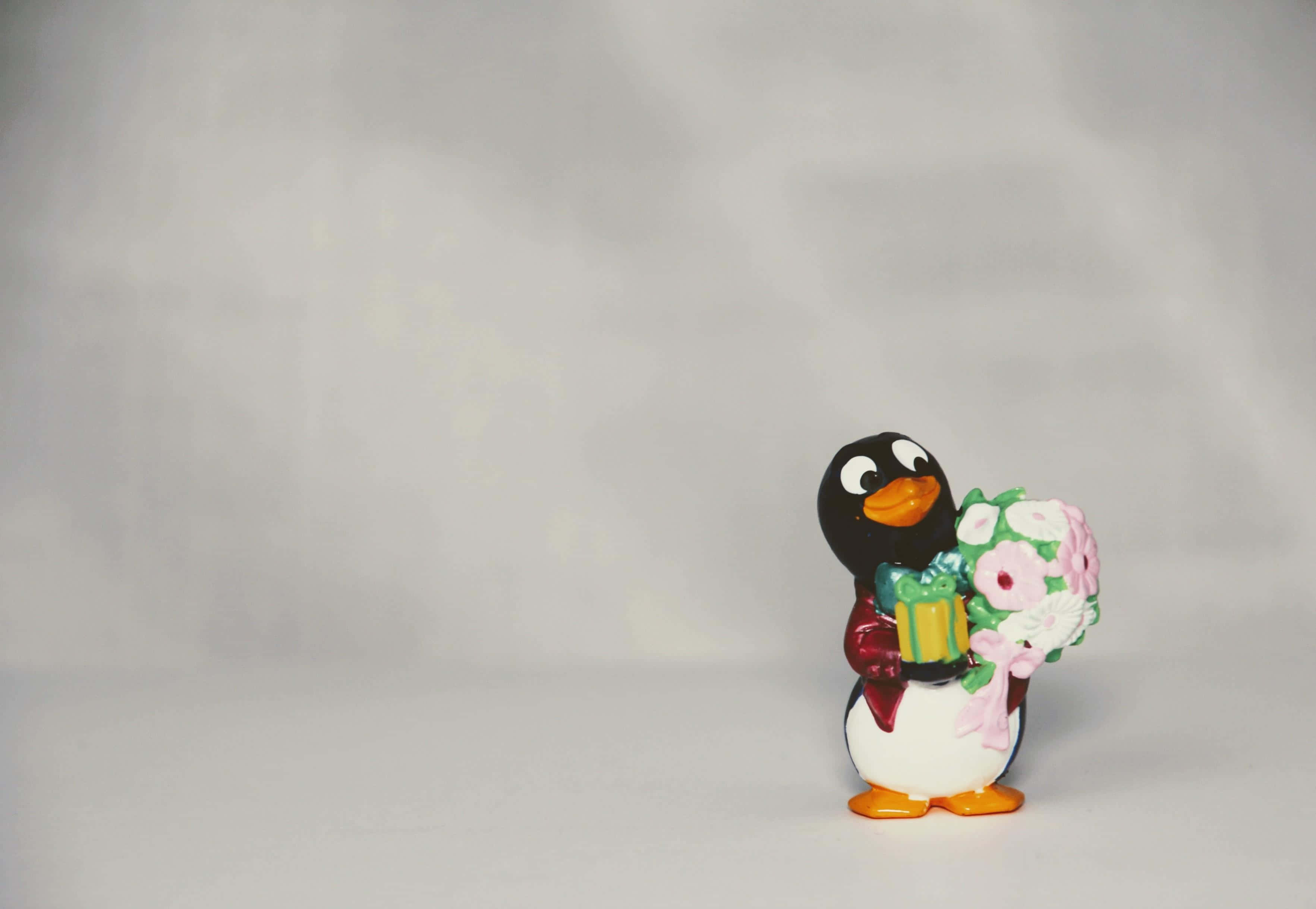 ceramic penguin figurine, gift box, pink flower bouquet, 2K Desktop Wallpaper